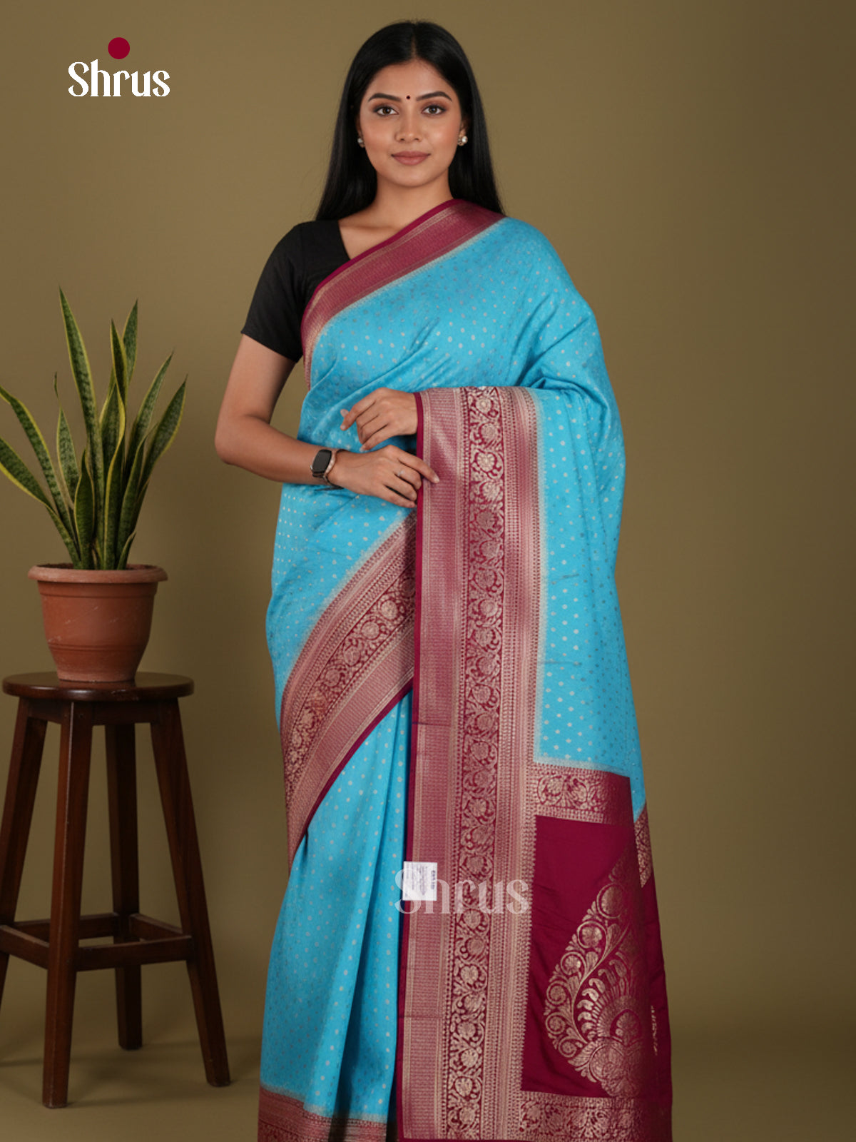 DKS29166 - Semi Georgette Saree