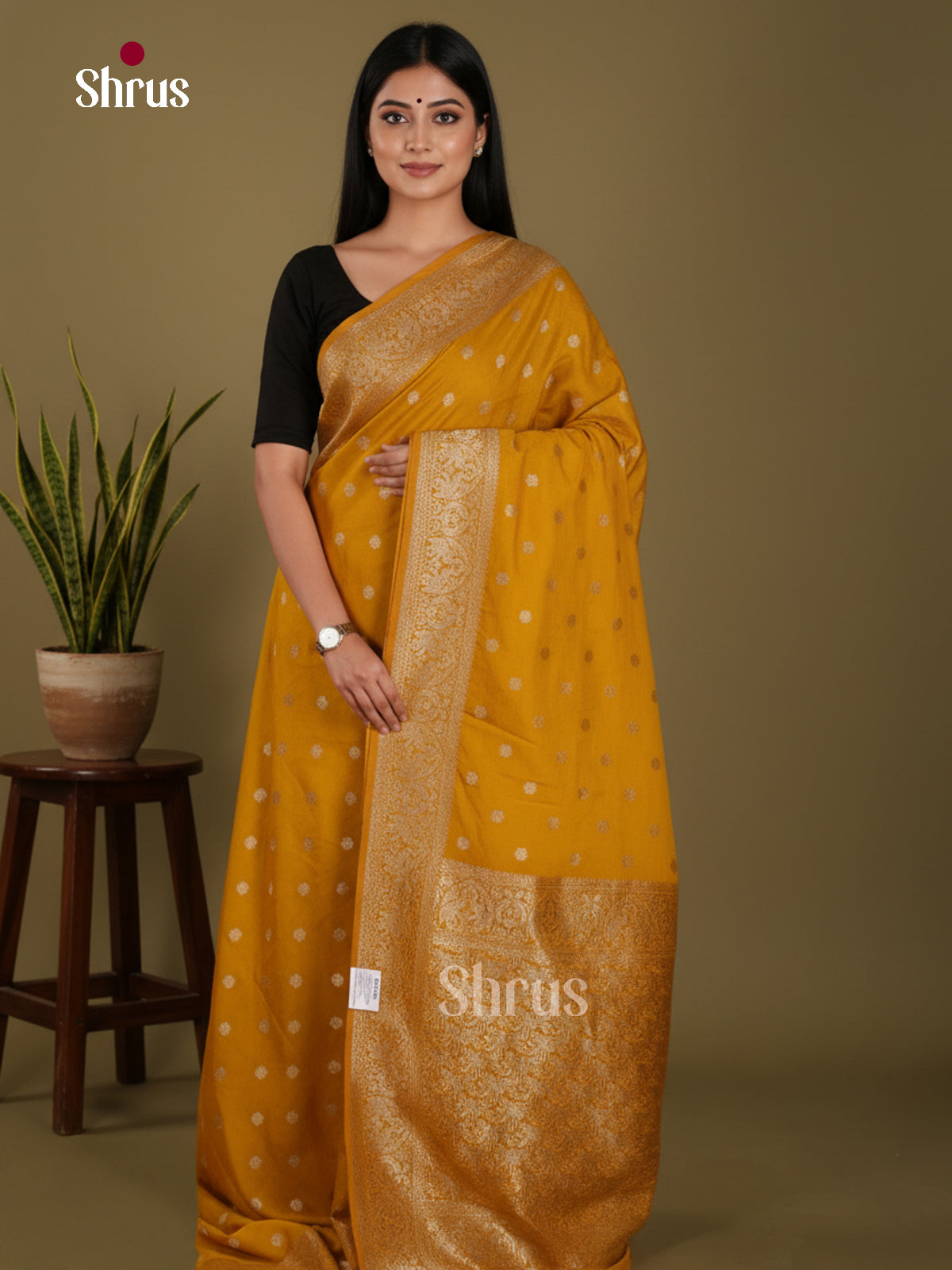 DKS29175 - Semi Georgette Saree