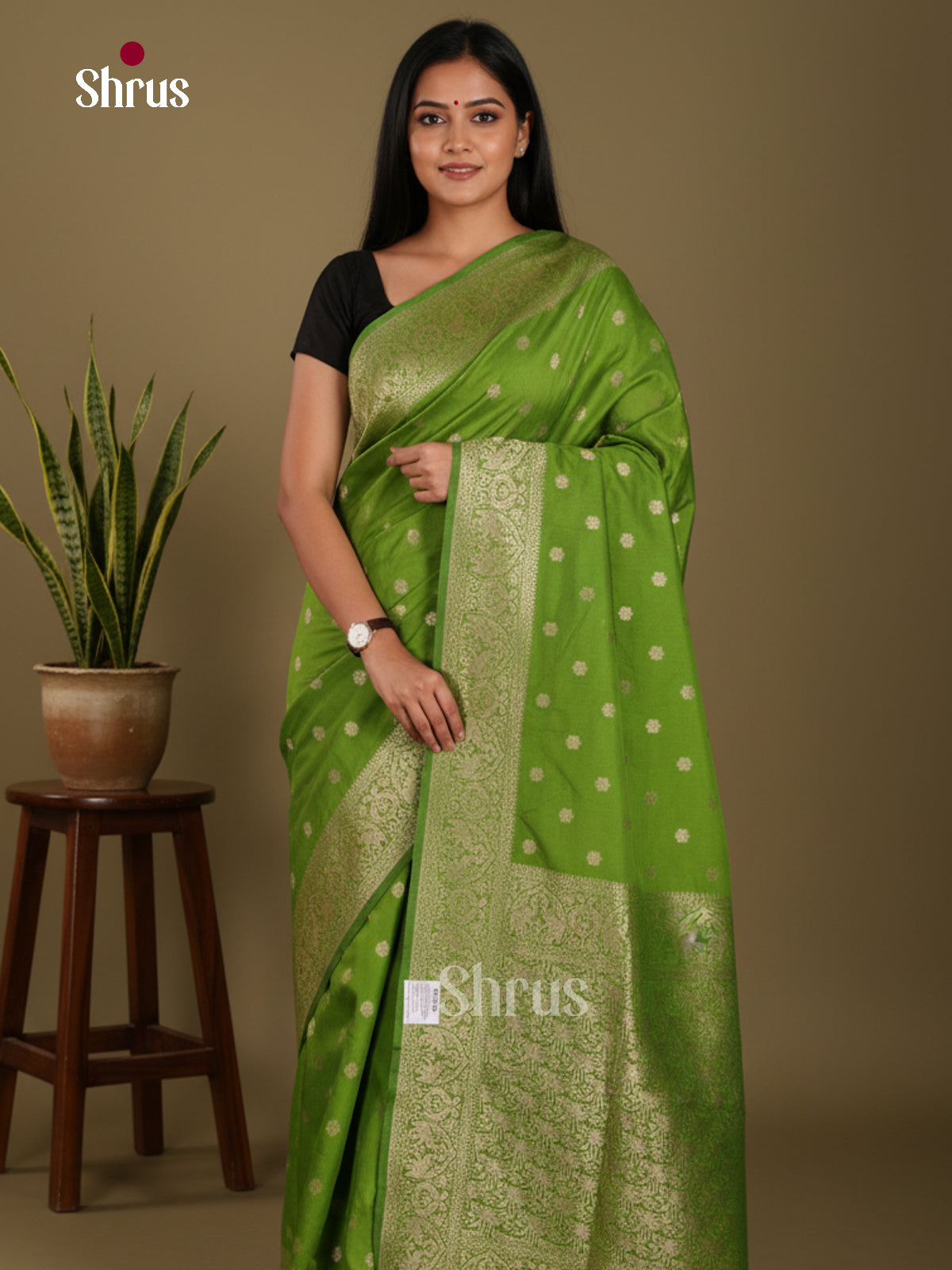 DKS29176 - Semi Georgette Saree