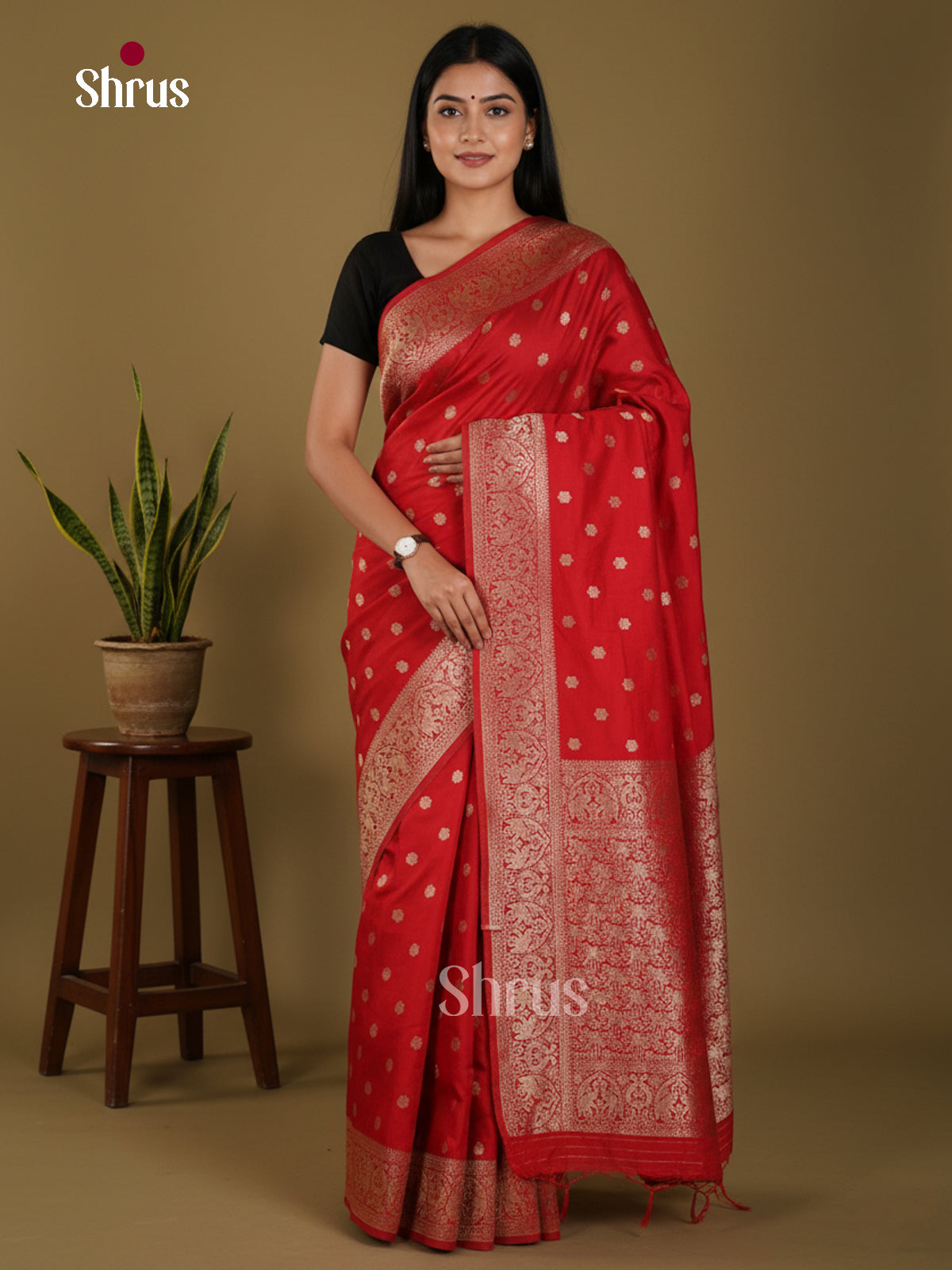 DKS29183 - Semi Georgette Saree