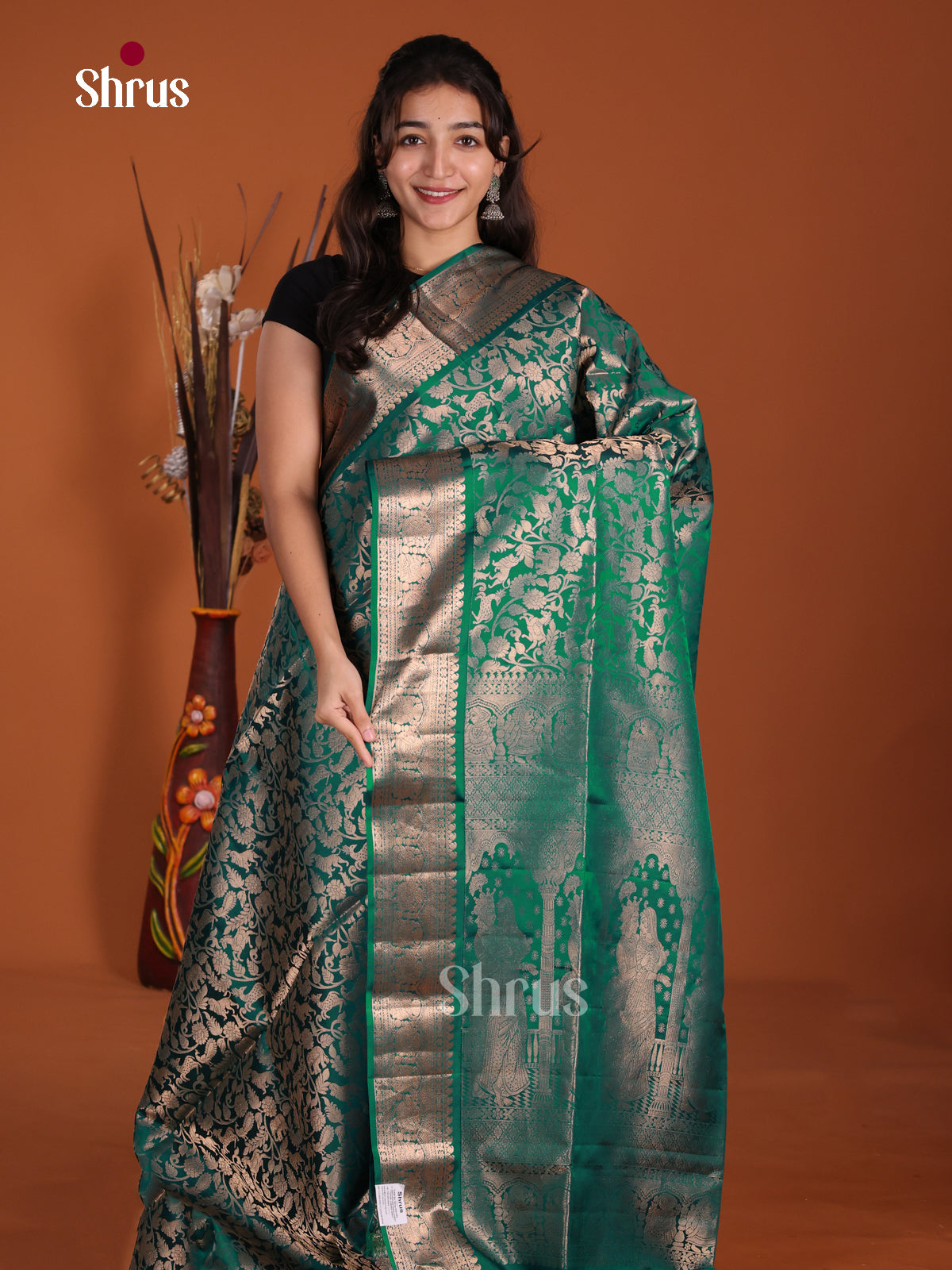 DLS02001 - Soft Silk Saree
