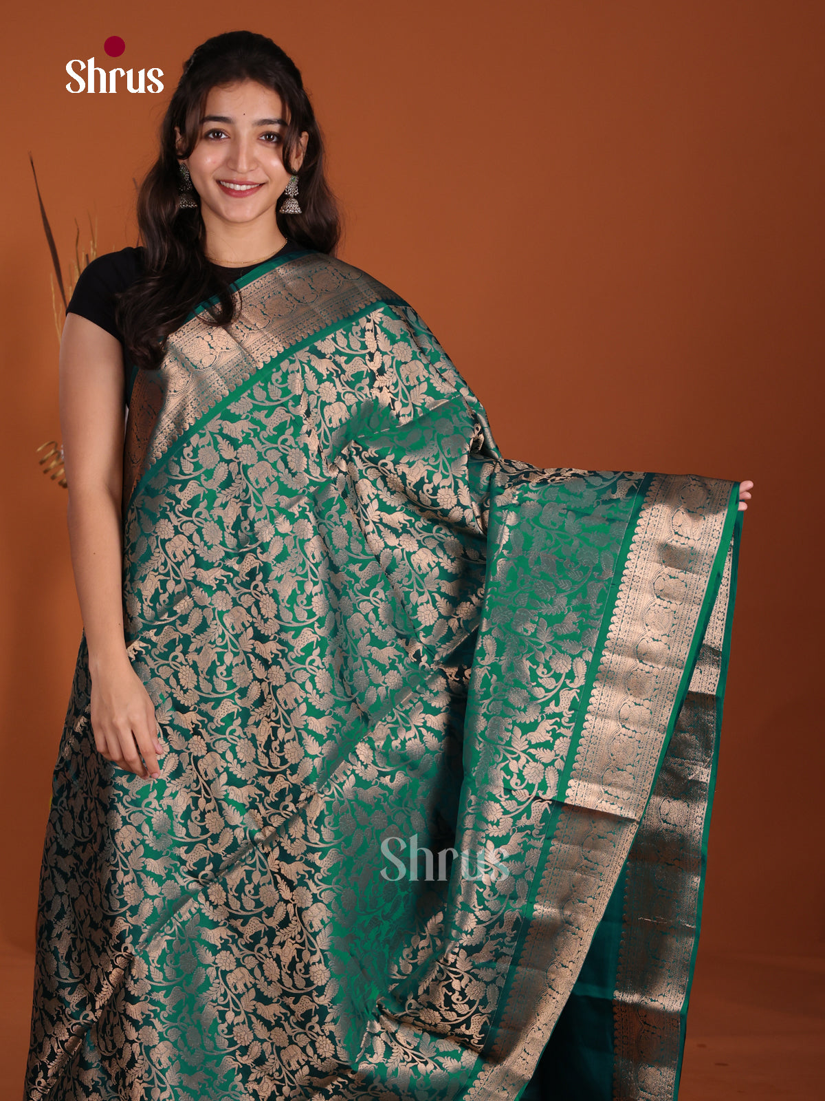 DLS02001 - Soft Silk Saree