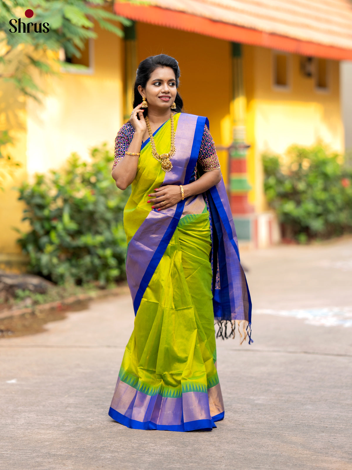 DLS04024 - Temple-border Saree