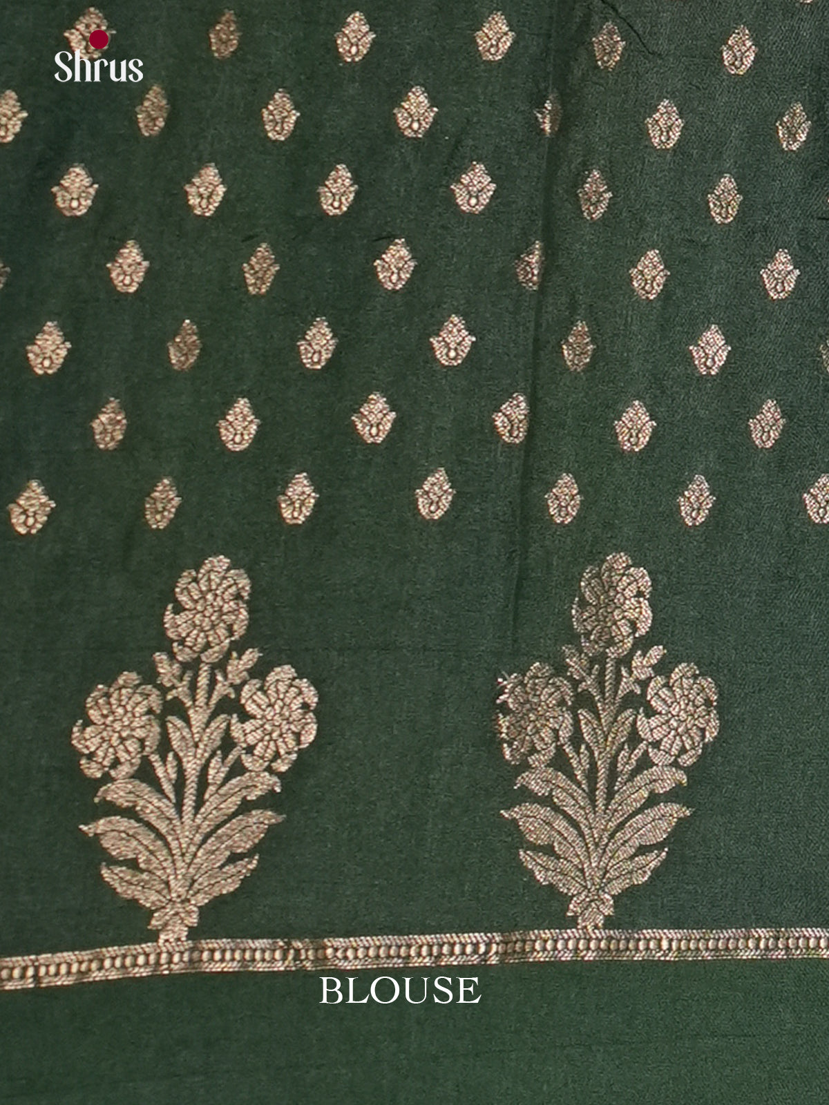 Blue & Green - North Silk Cotton Saree- DLS06156