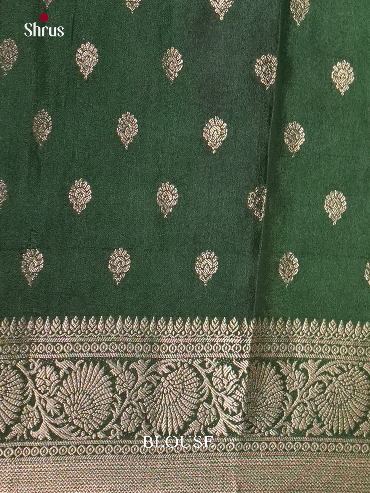 Light Green & Green - North Silk Cotton Saree- DLS06161