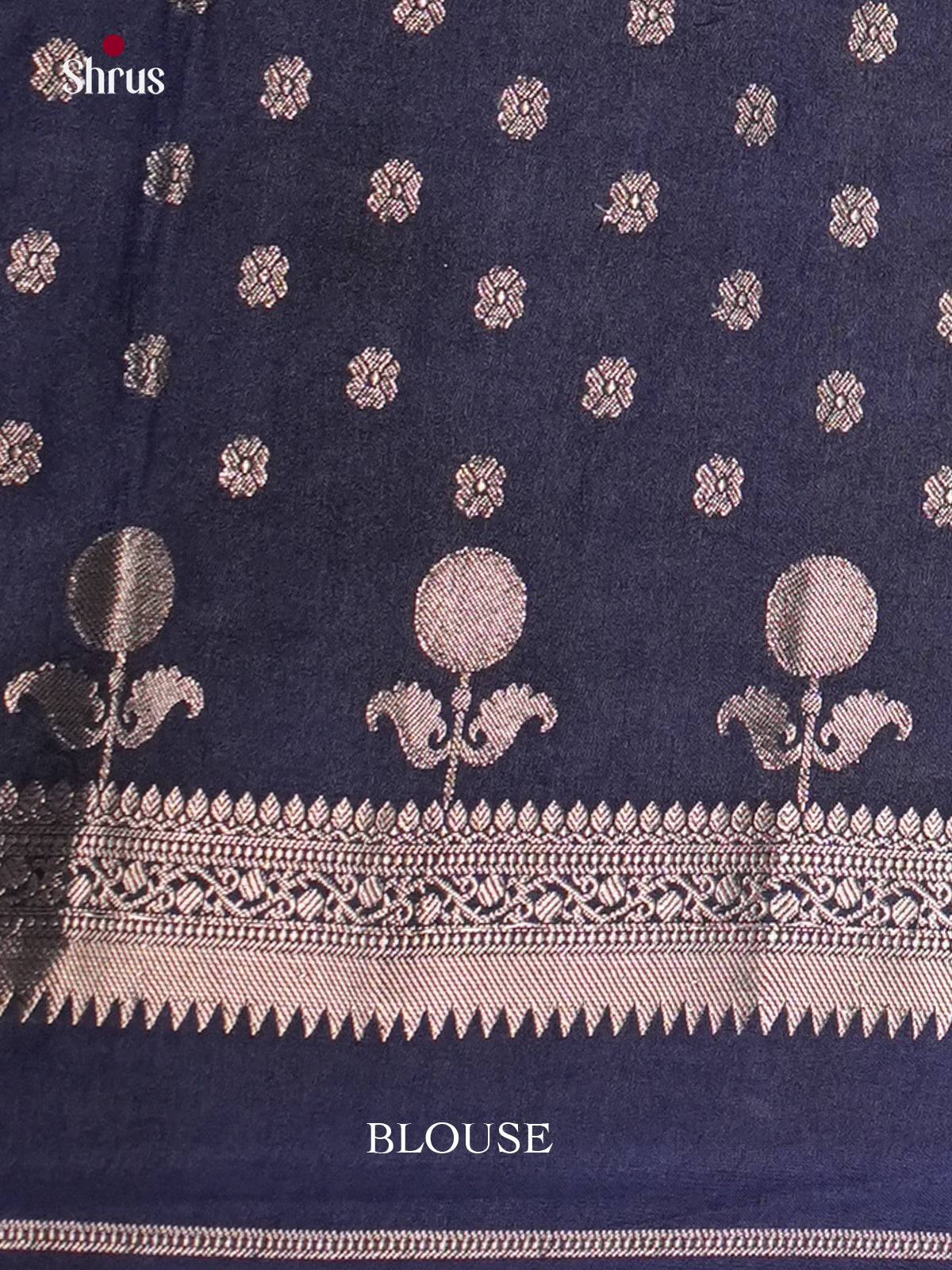 Sky Blue & Blue - North Silk Cotton Saree-DLS06178