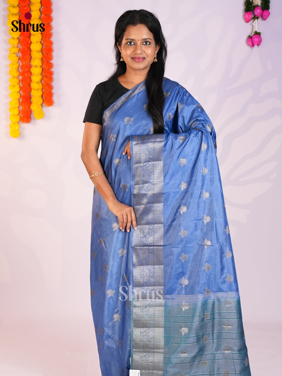 Blue & Green - North Silk Cotton Saree-DLS06199