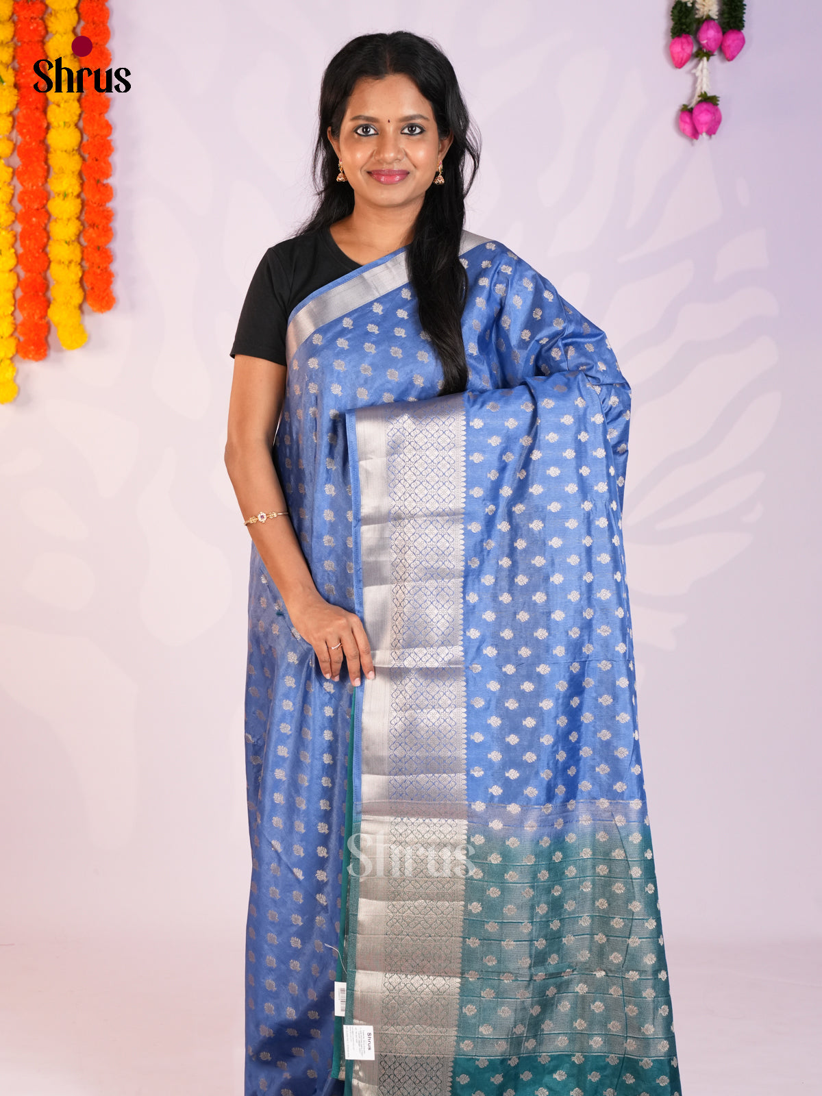 Blue & Green - North Silk Cotton Saree- DLS06237
