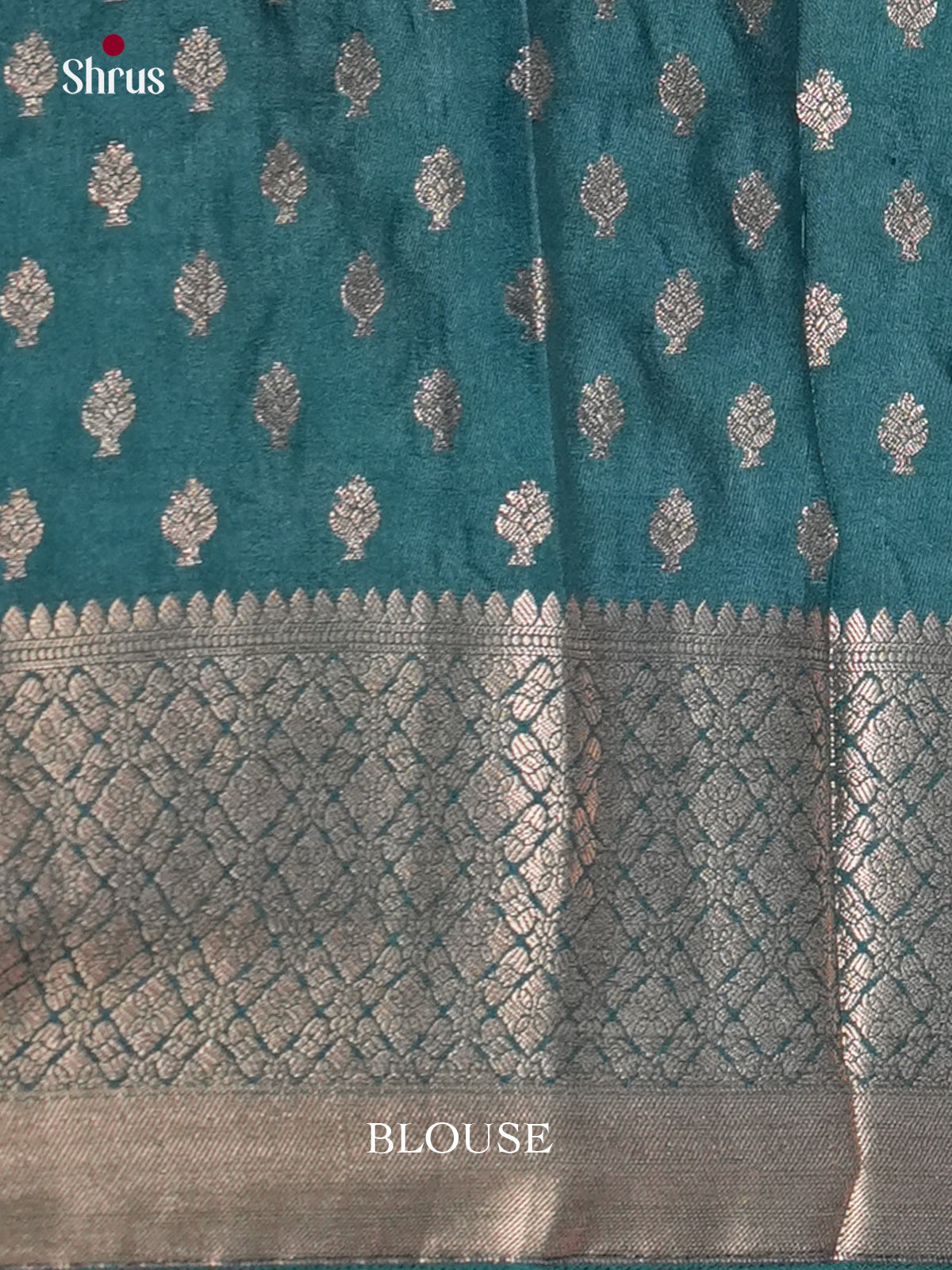 Blue & Green - North Silk Cotton Saree- DLS06237