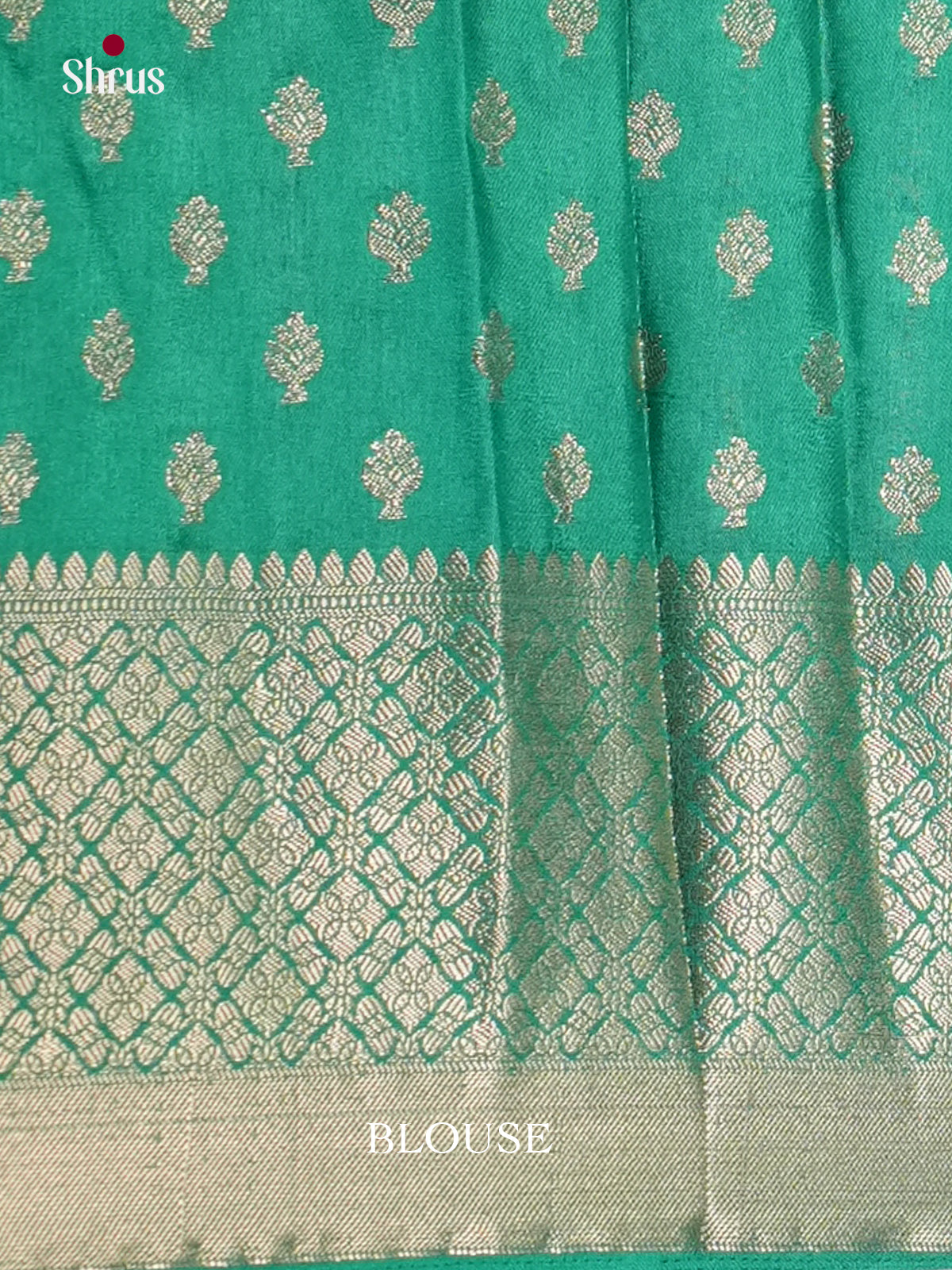 Blue & Green  - North Silk Cotton Saree-DLS06240