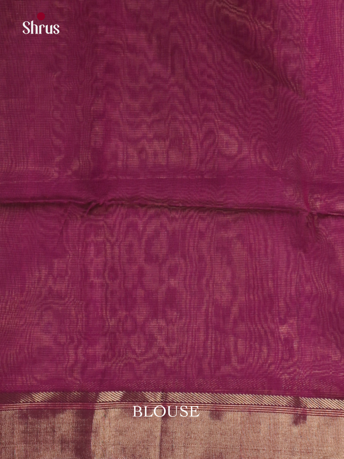 DLS06359 - Maheshwari silkcotton Saree - Shop on Shrus.com