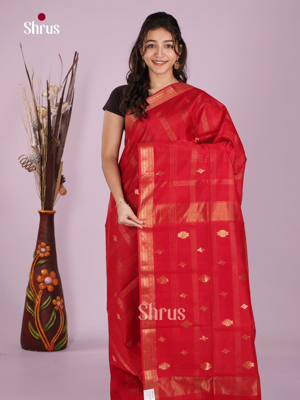 DLS06394 - Maheshwari silkcotton Saree