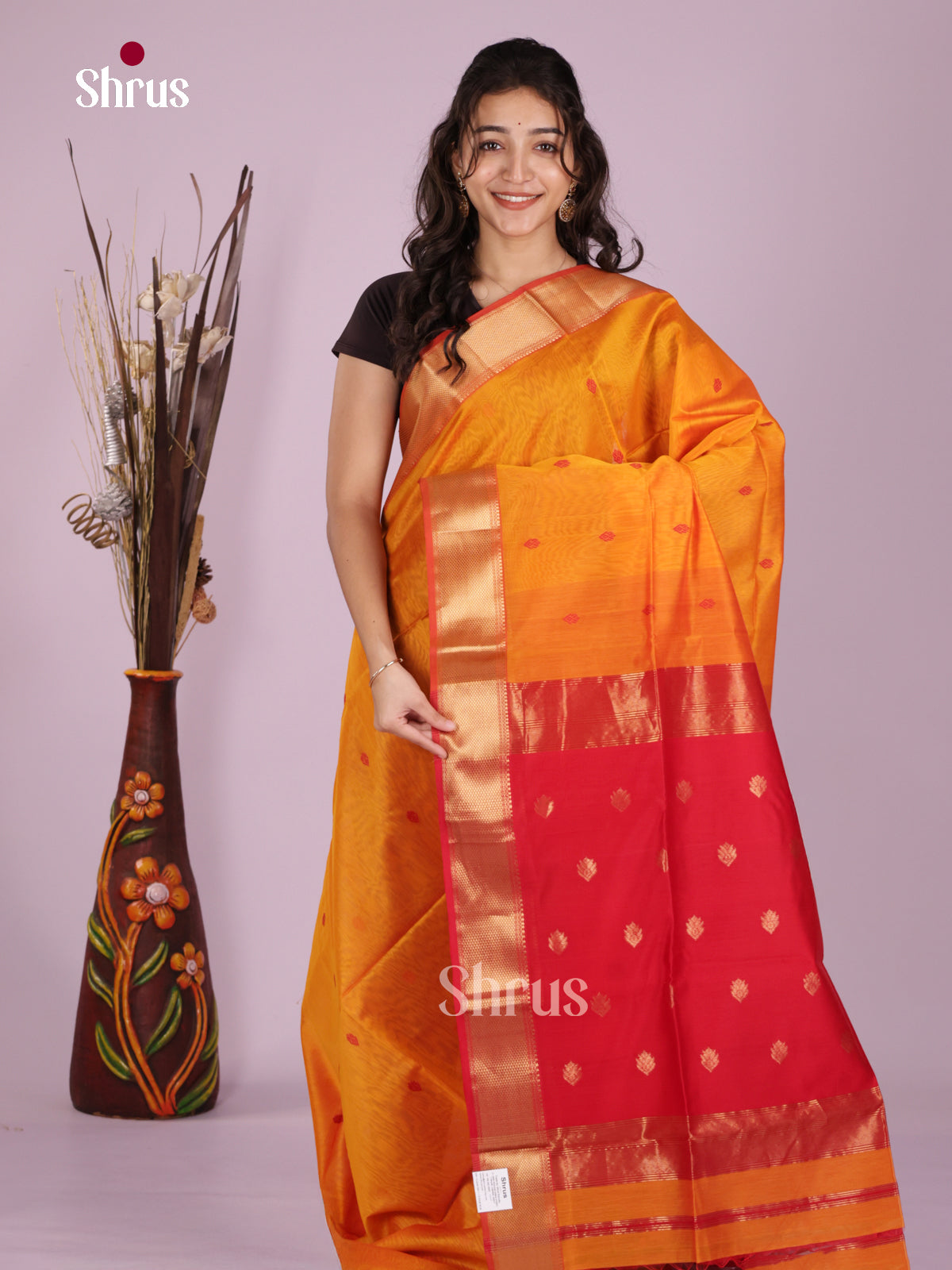 DLS06414 - Maheshwari silkcotton Saree - Shop on Shrus.com
