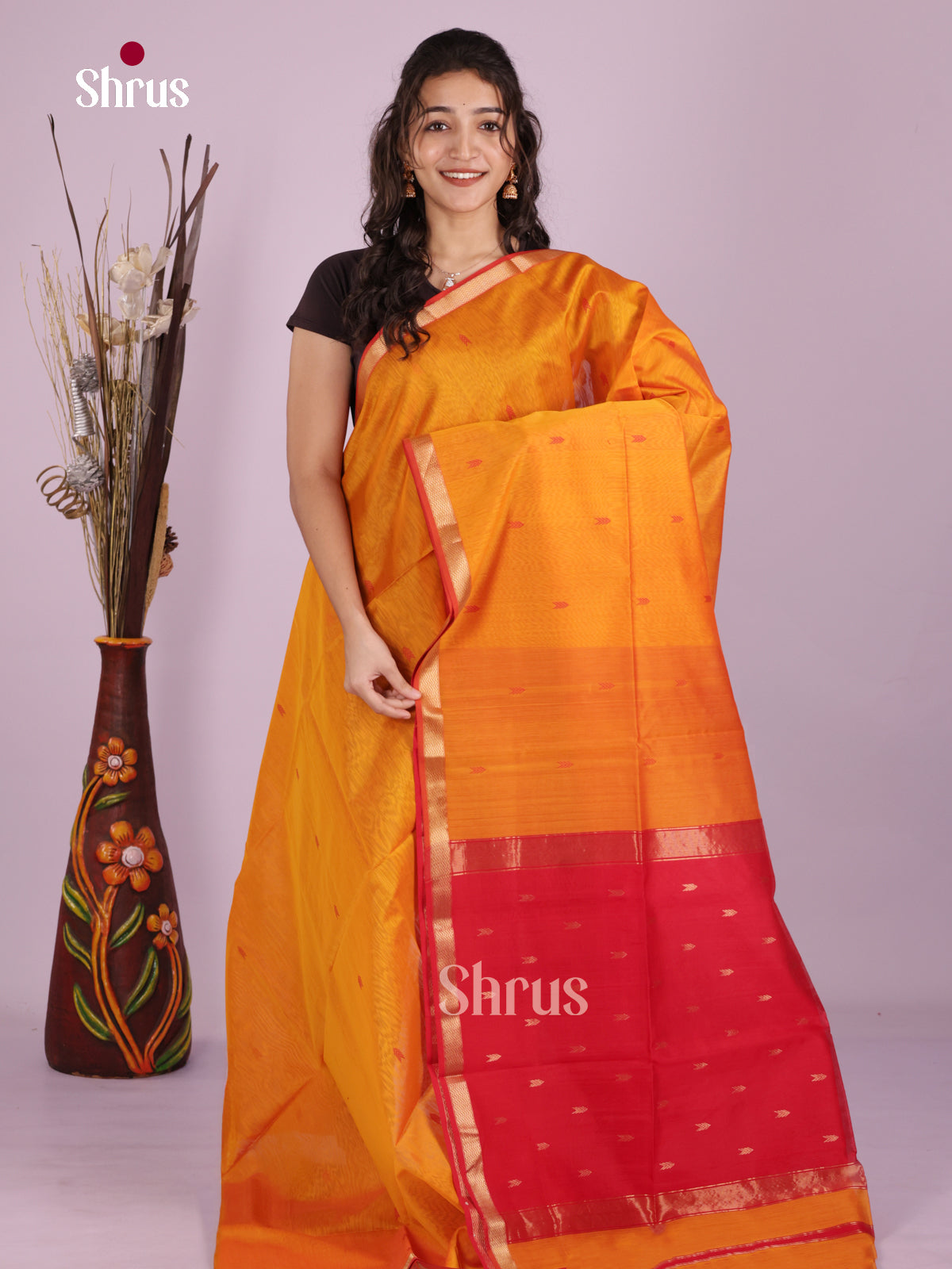 DLS06444 - Maheshwari silkcotton Saree