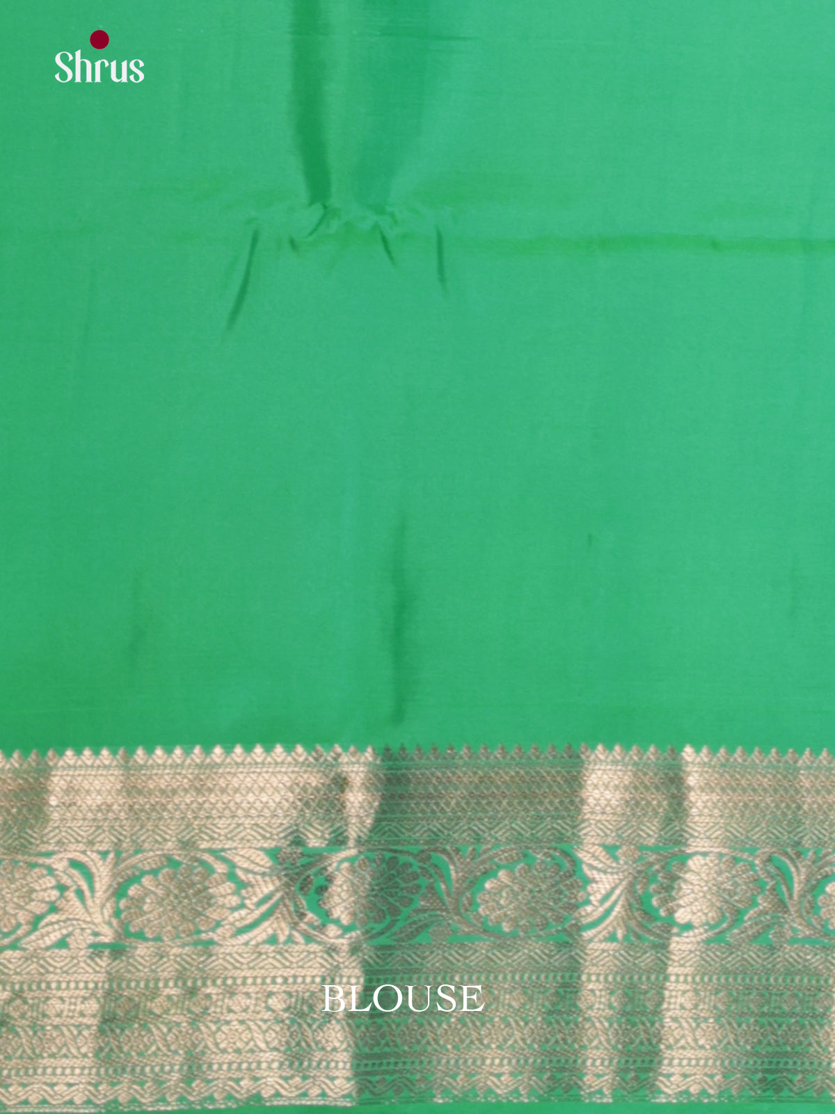 Radiating Pastel Green Soft Silk Saree with zari floral nesting brocade