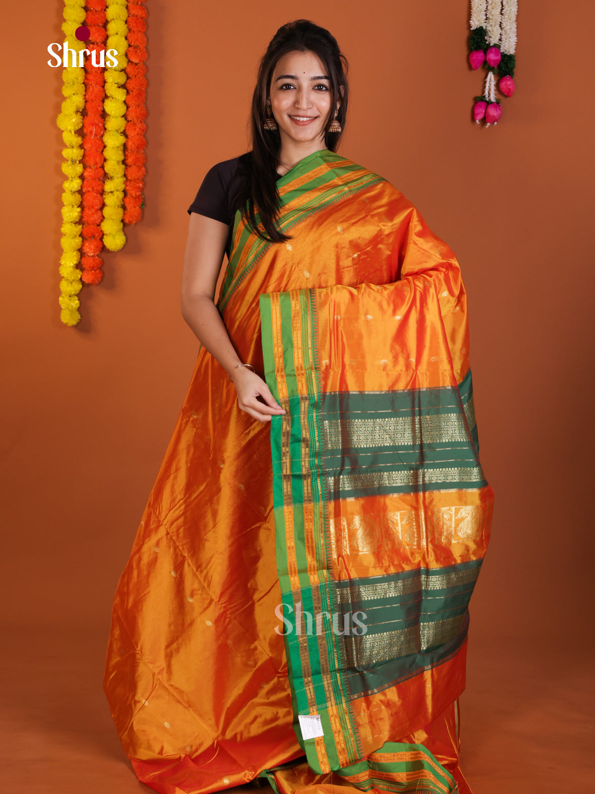 DLS13107 - Narayanpetsilk-halfpure Saree - Shop on Shrus.com
