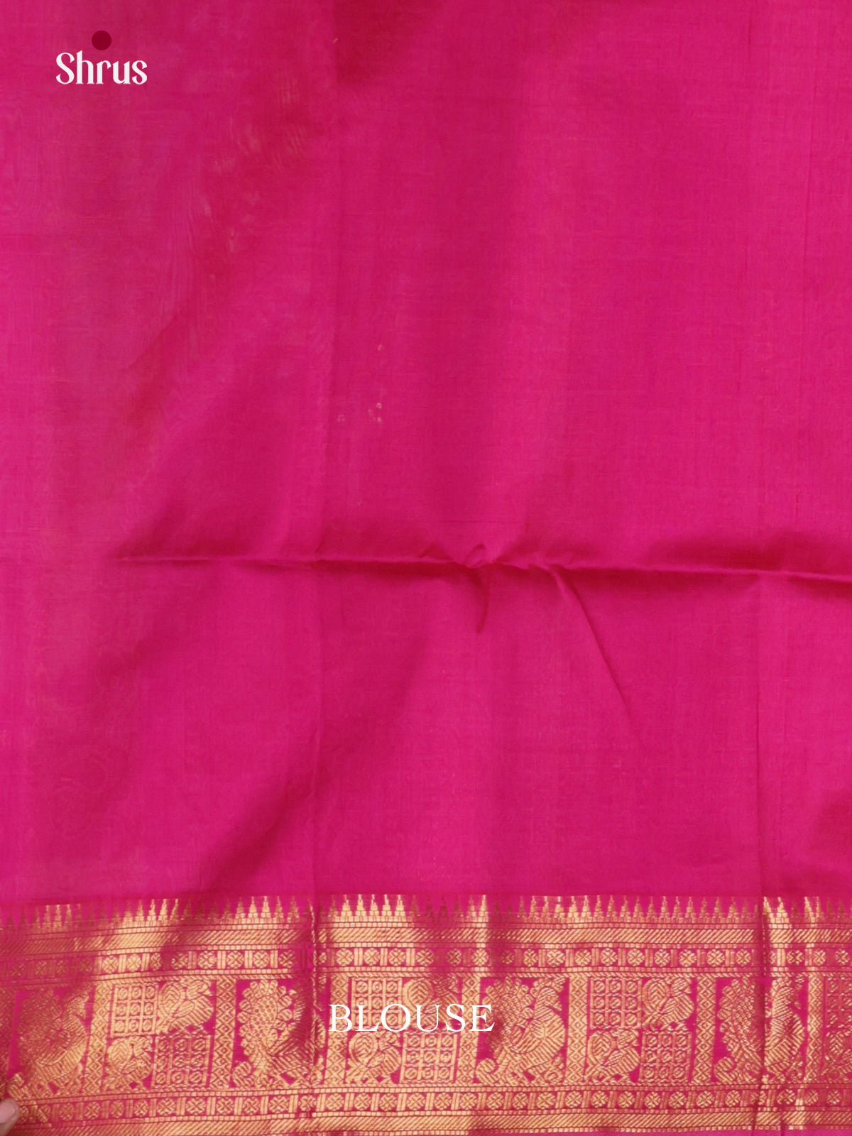 DLS15078 - NON KORVAI SMALL BORDER Saree