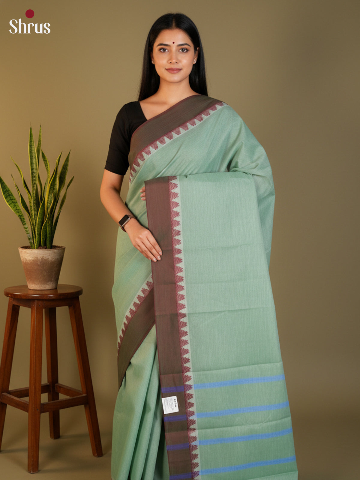 Pastel green & Brown  - South Cotton Saree-DLS15238
