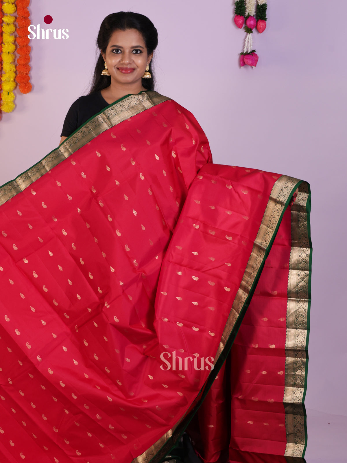 DLS16039 - Kanchipuram Korvai Butta Saree