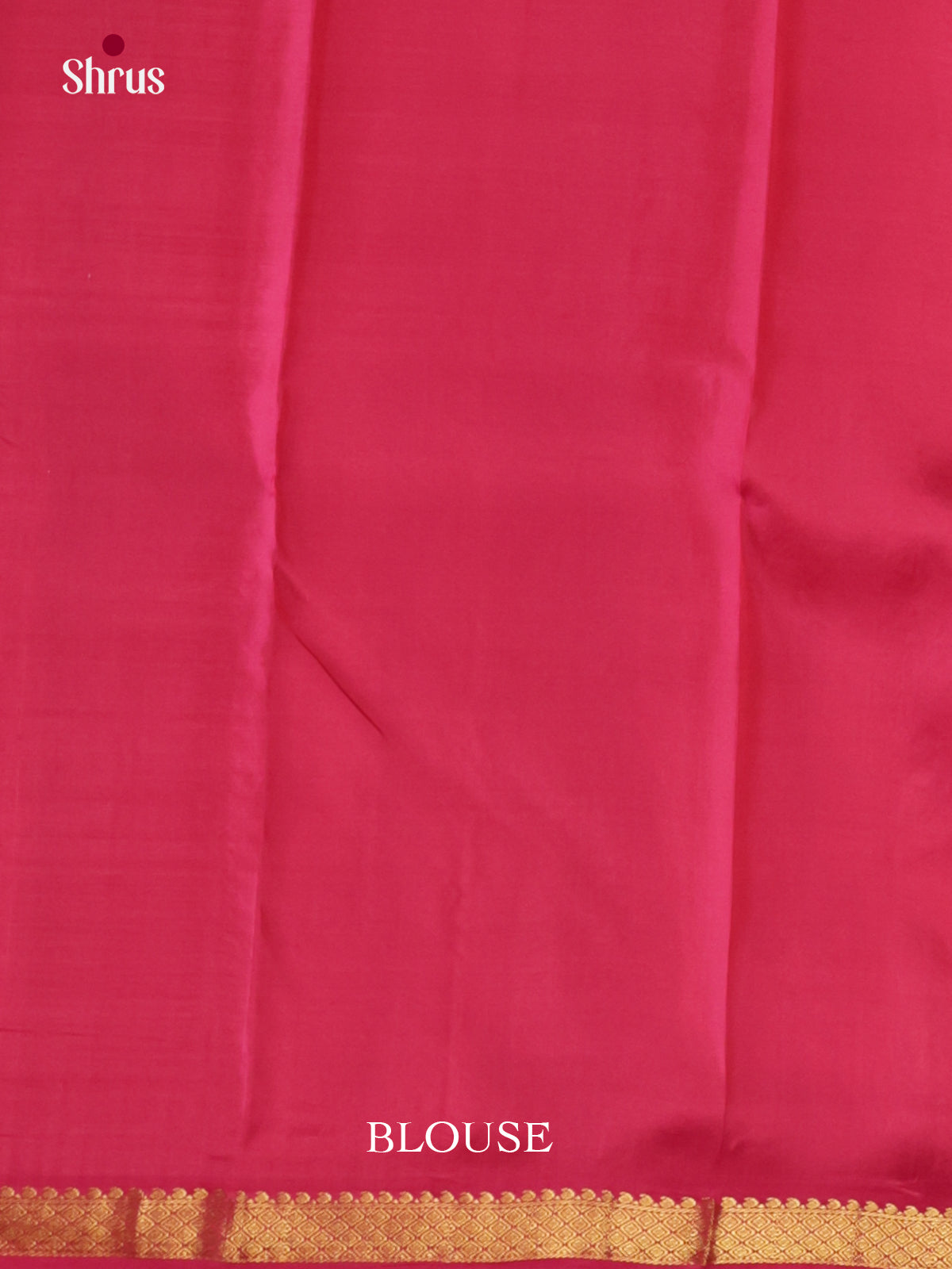 DLS16085 - Kanchipuram Butta design Saree