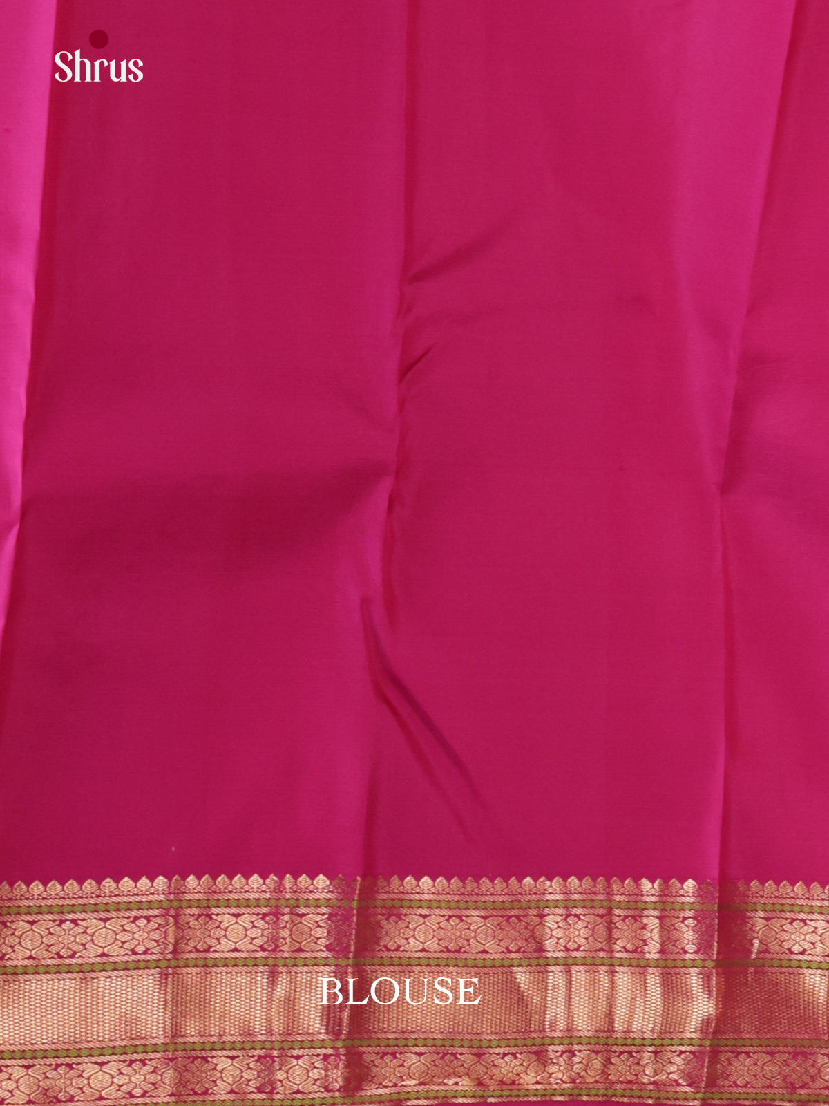 DLS16134 - Kanchipuram Butta design Saree