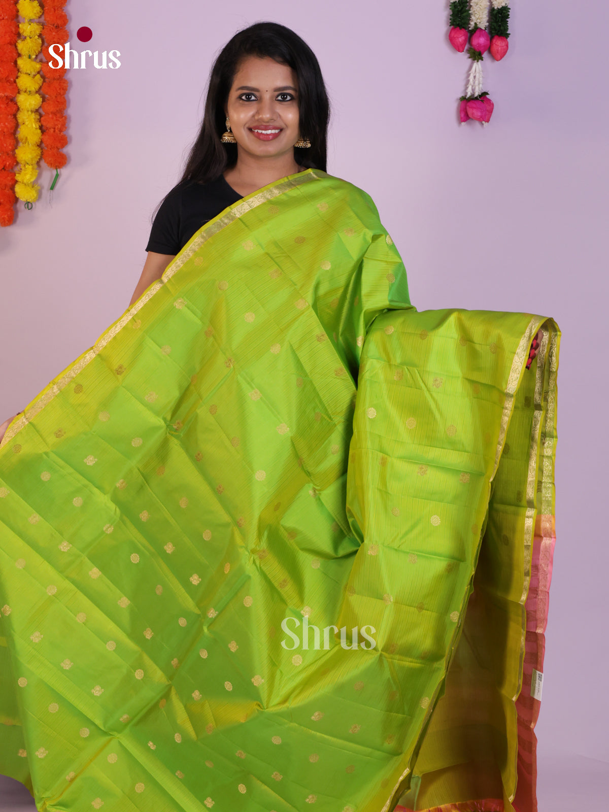 DLS16154 - Kanchipuram Butta design Saree - Shop on Shrus.com