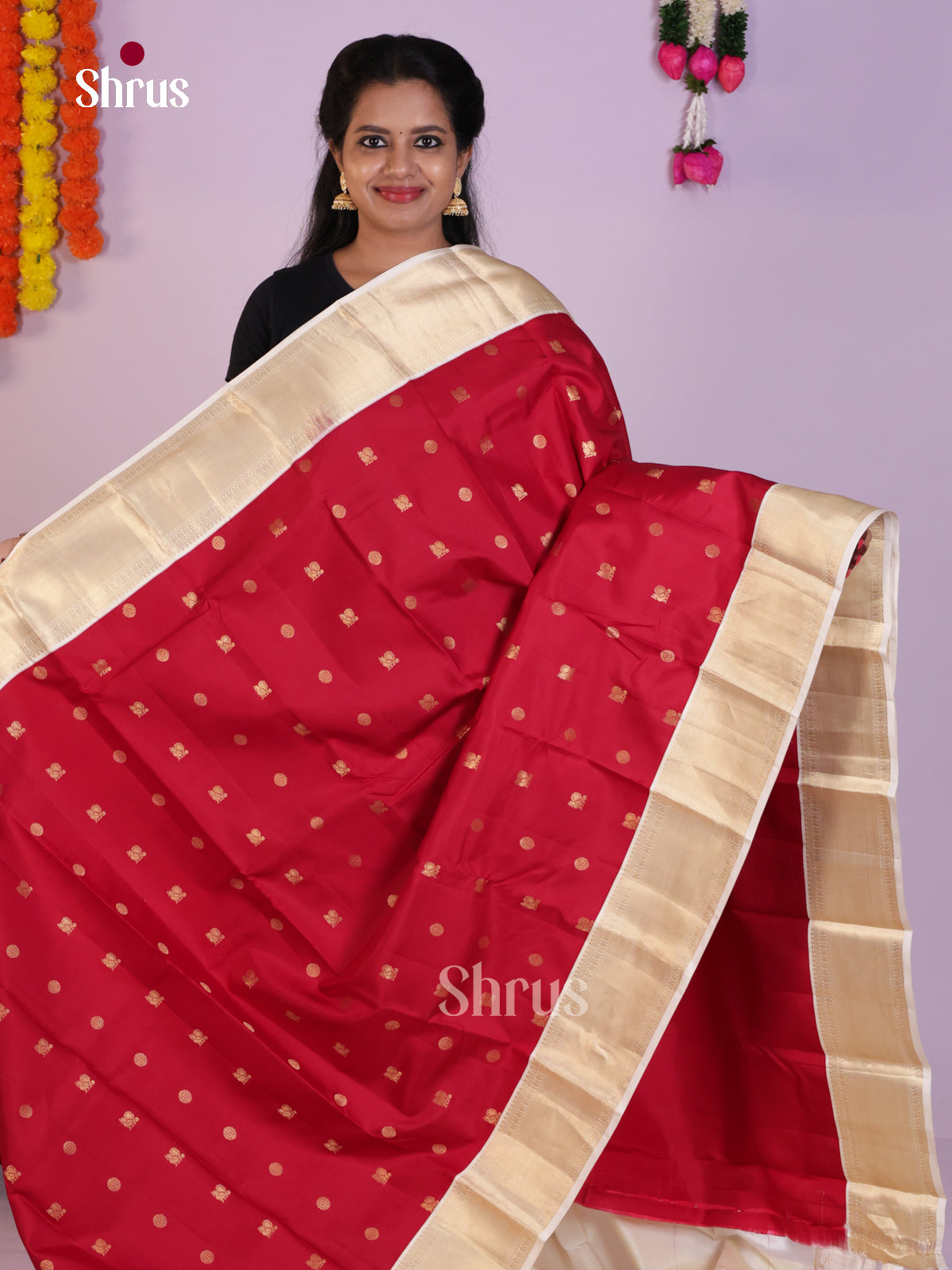 DLS16233 - Kanchipuram Korvai Butta Saree - Shop on Shrus.com