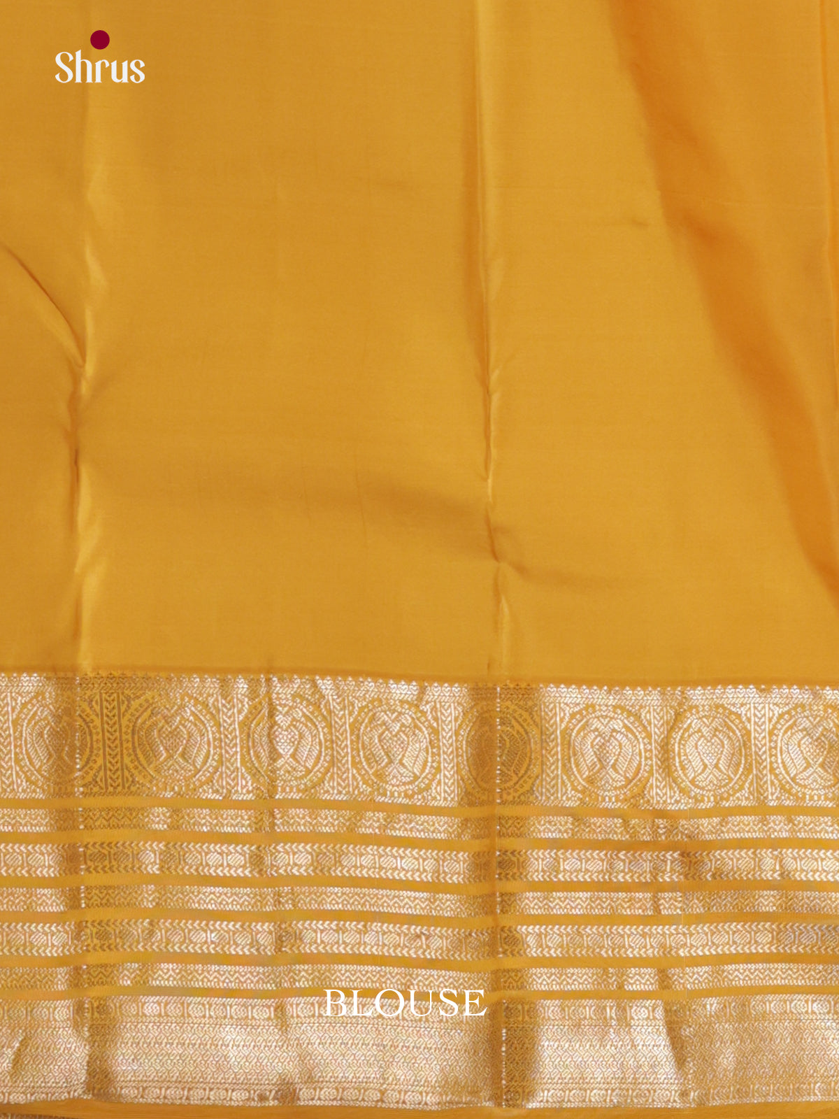 Opulent Red Bridal Pattu Saree with Golden Zari Pallu