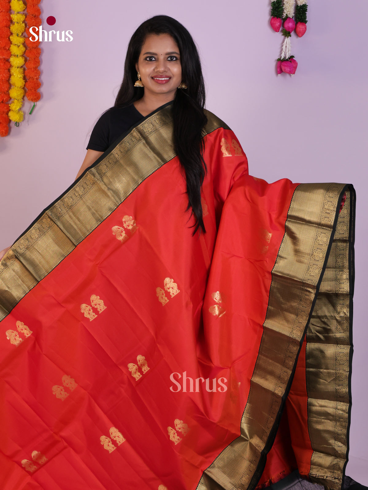 Opulent Red Wedding Saree with Zari Motifs & Dark Green Brocade Pallu