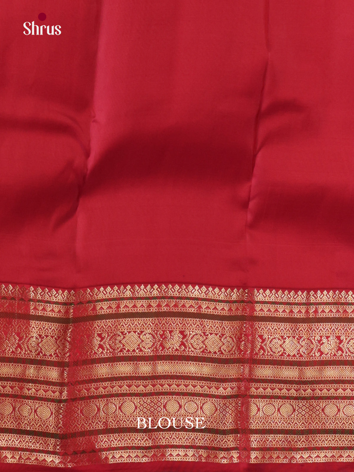 Vibrant Green Kanchipuram Silk Saree with Golden Buttas & Red Brocade Pallu