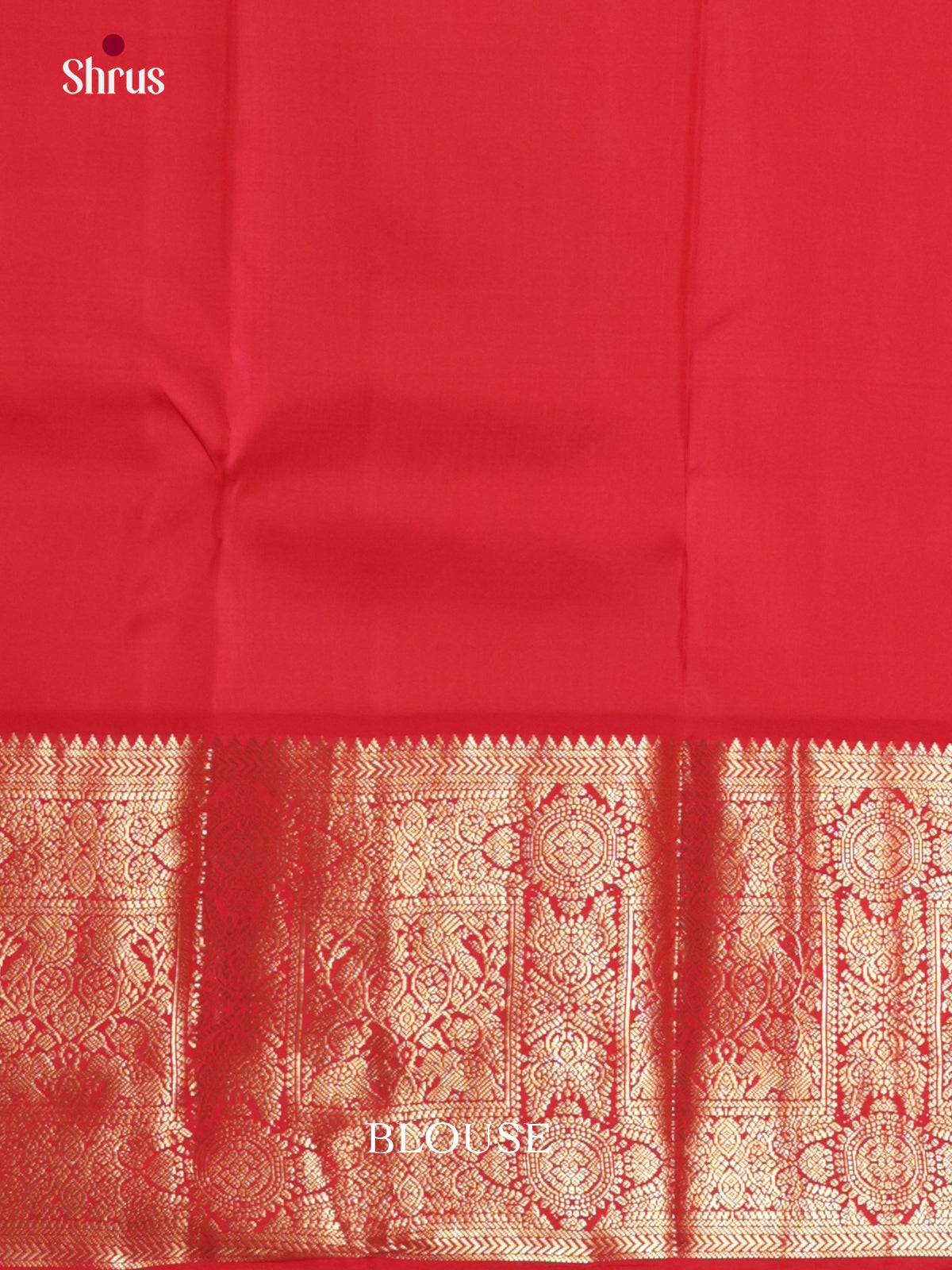 Exquisite Royal Blue Wedding Saree With Leaf Motifs & Red Brocade Pallu