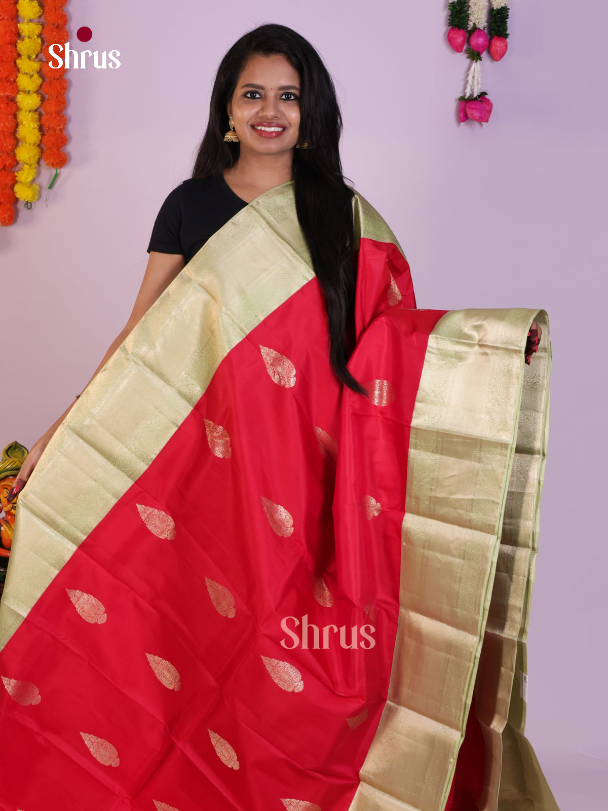 DLS16254 - Kanchipuram Korvai Butta Saree