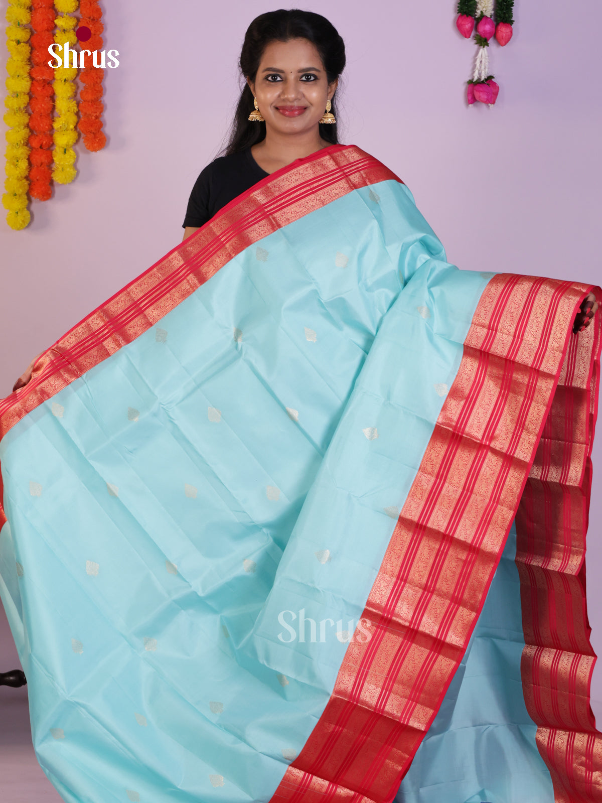 DLS16267 - Kanchipuram Korvai Butta Saree - Shop on Shrus.com