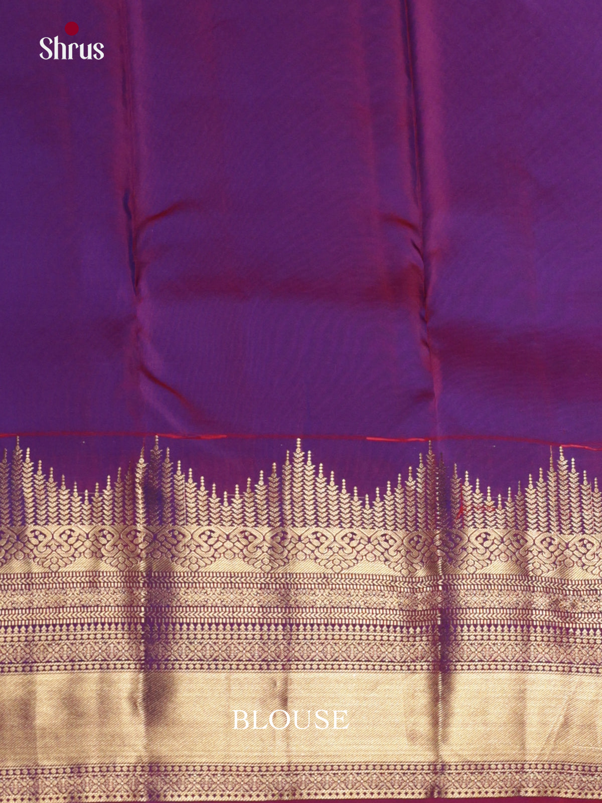 DLS16297 - Kanchipuram Butta design Saree