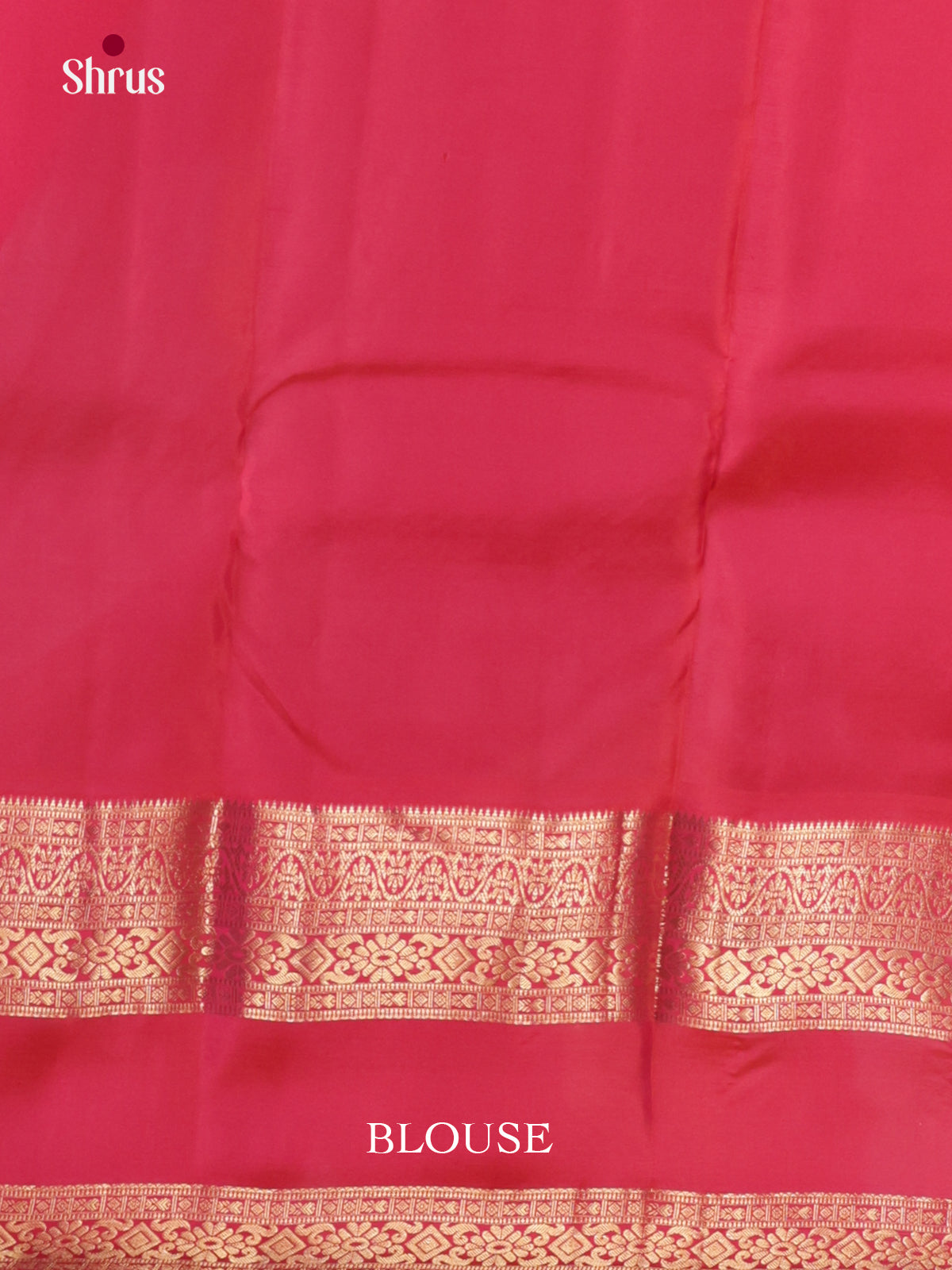 DLS16304 - Kanchipuram Butta design Saree