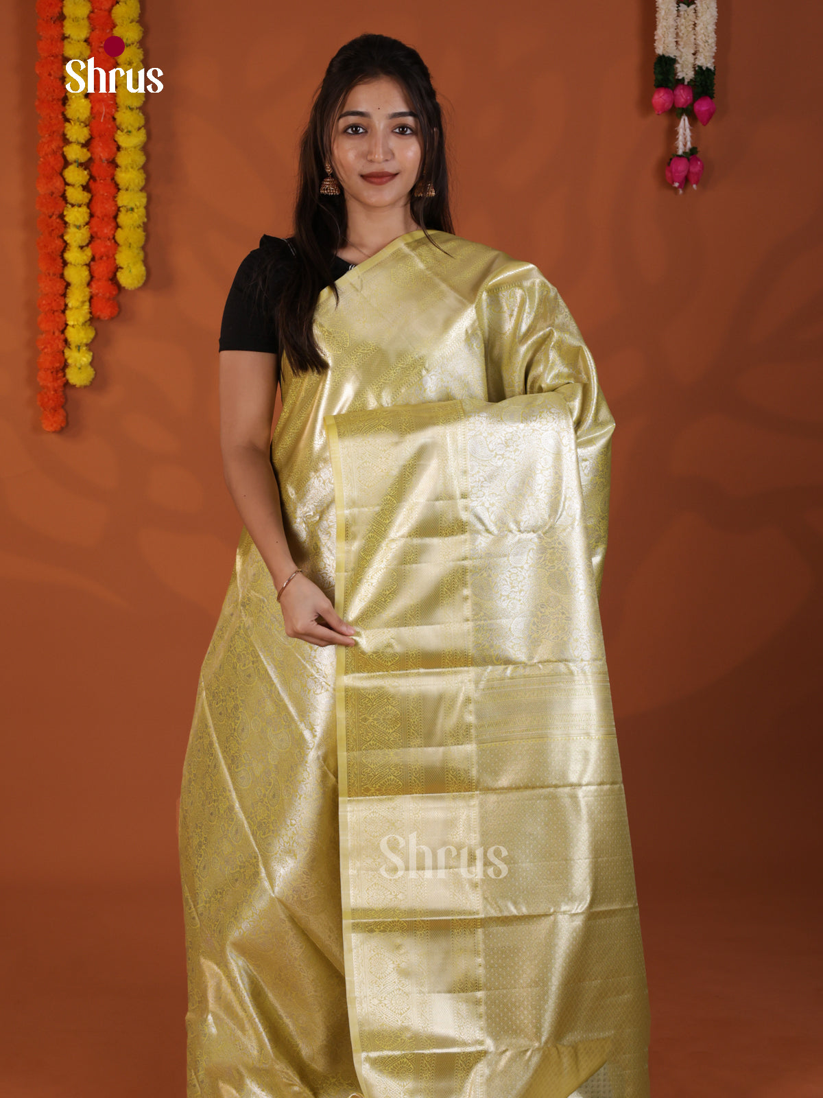 Light Green - Kanchipuram-halfpure Saree- DLS19228 - Shop on Shrus.com
