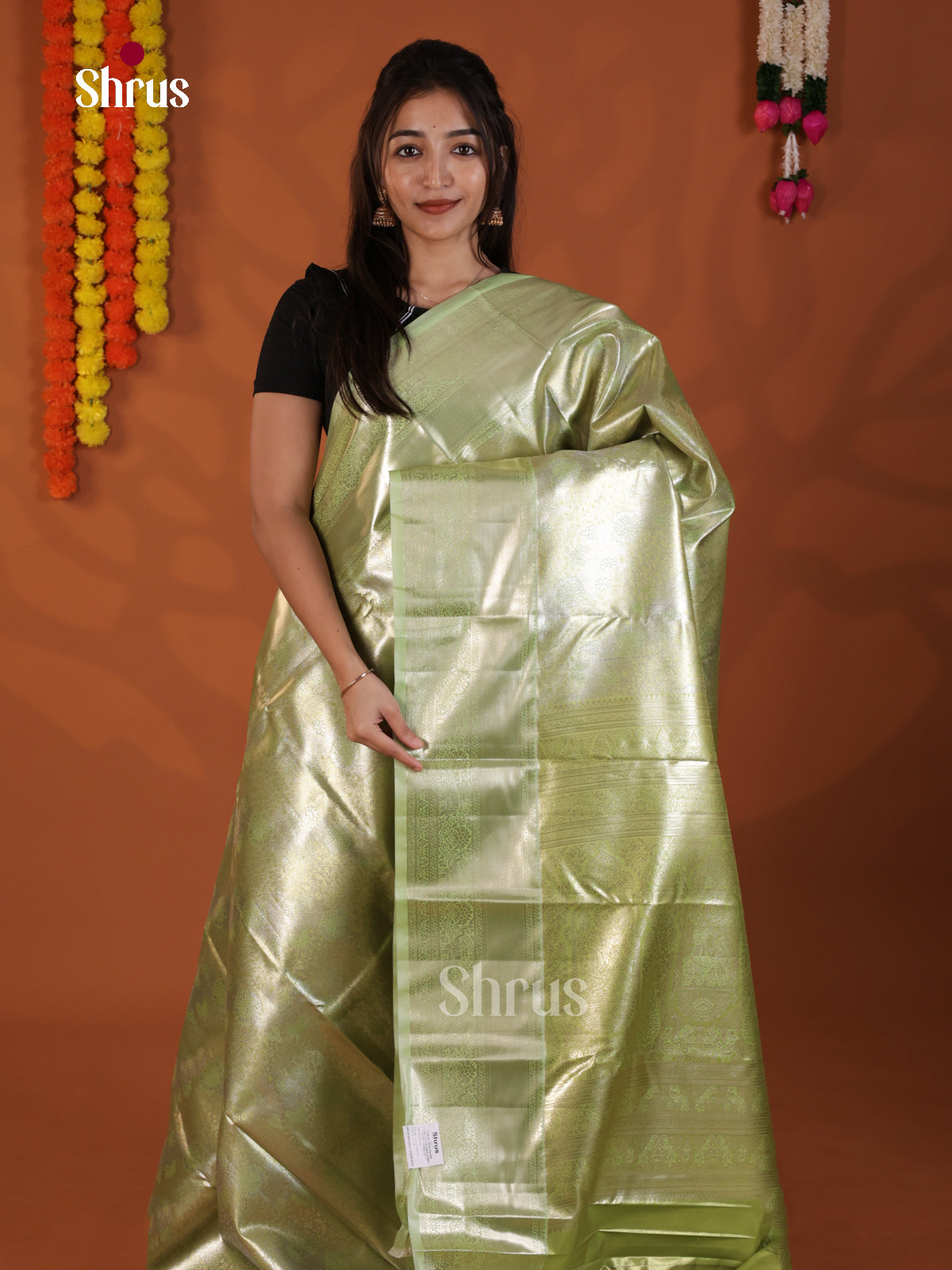 Light Green - DLS19242 - Kanchipuram-halfpure Saree - Shop on Shrus.com