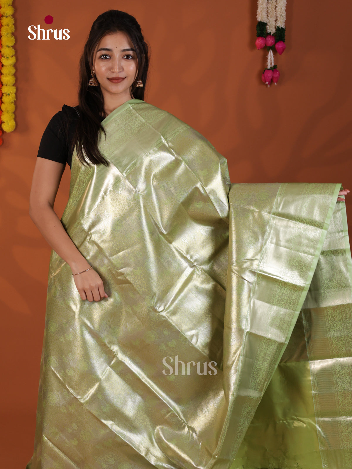 Light Green - DLS19242 - Kanchipuram-halfpure Saree - Shop on Shrus.com