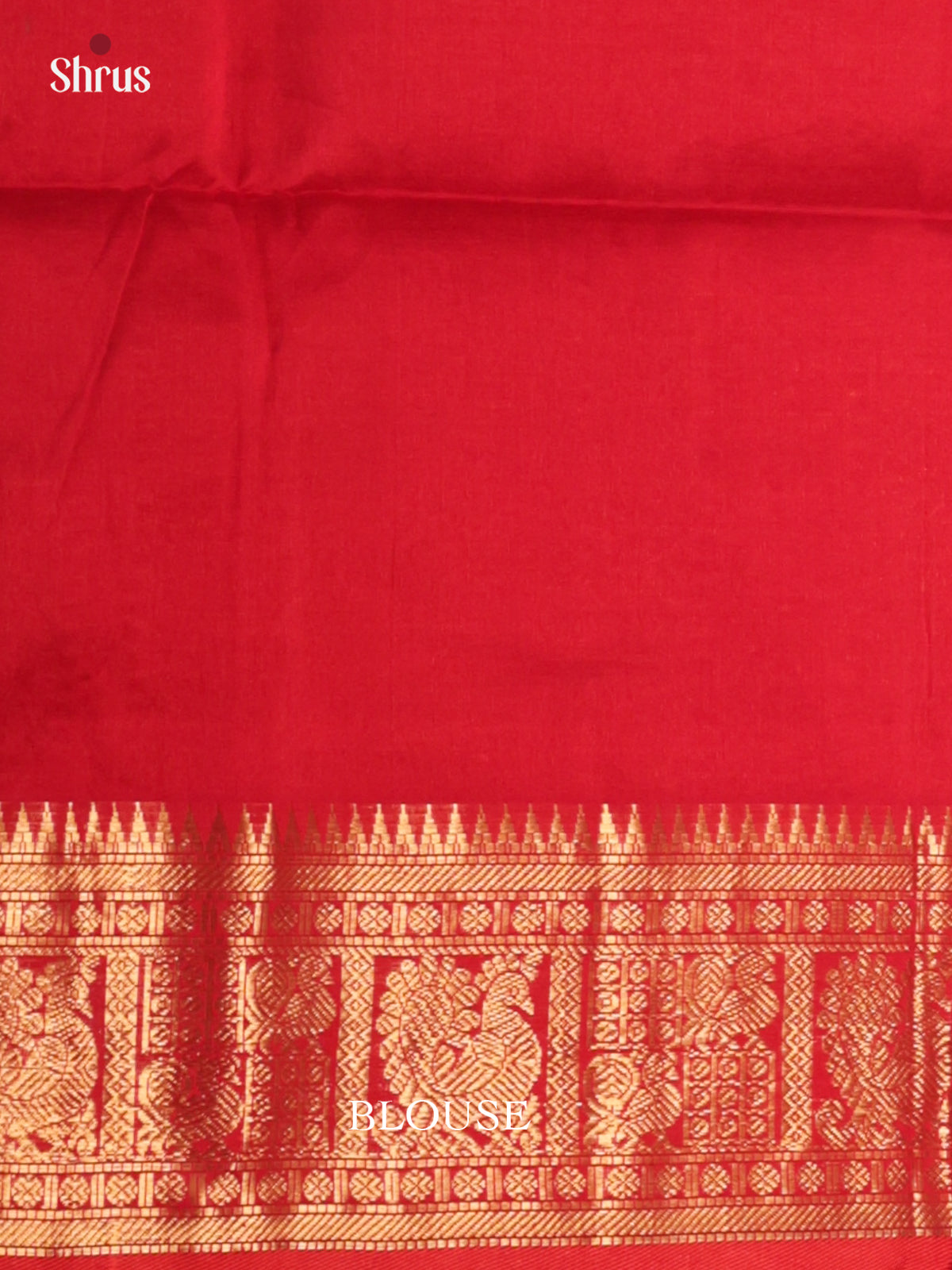 Vibrant Blue Silk Cotton saree with zari checks , peacock motifs -DLS29008