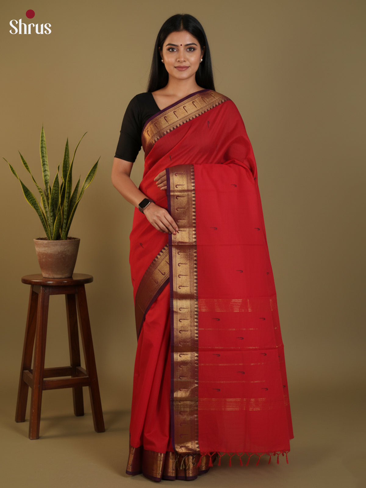 DLS29042 - Chettinad Cotton Saree - Shop on Shrus.com