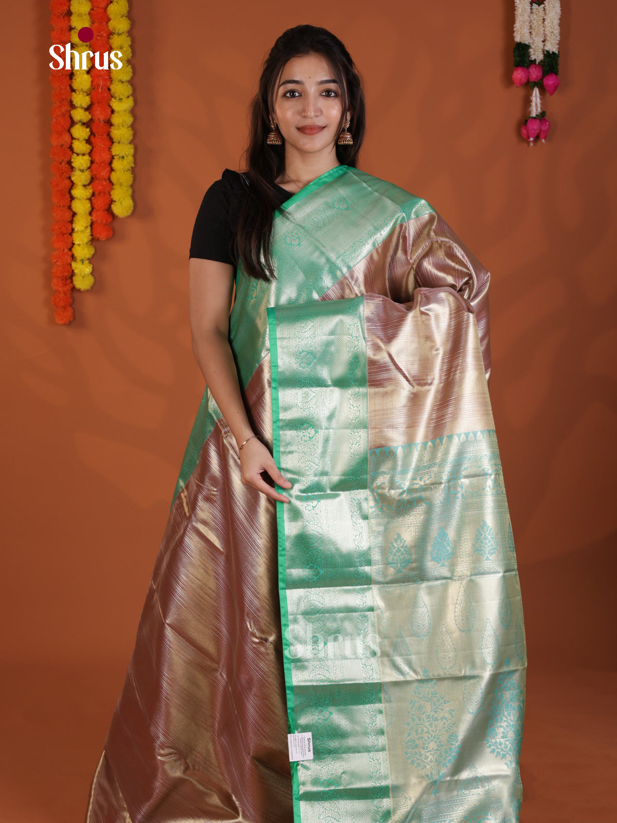 DLS29070 - Kanchipuram-halfpure Saree