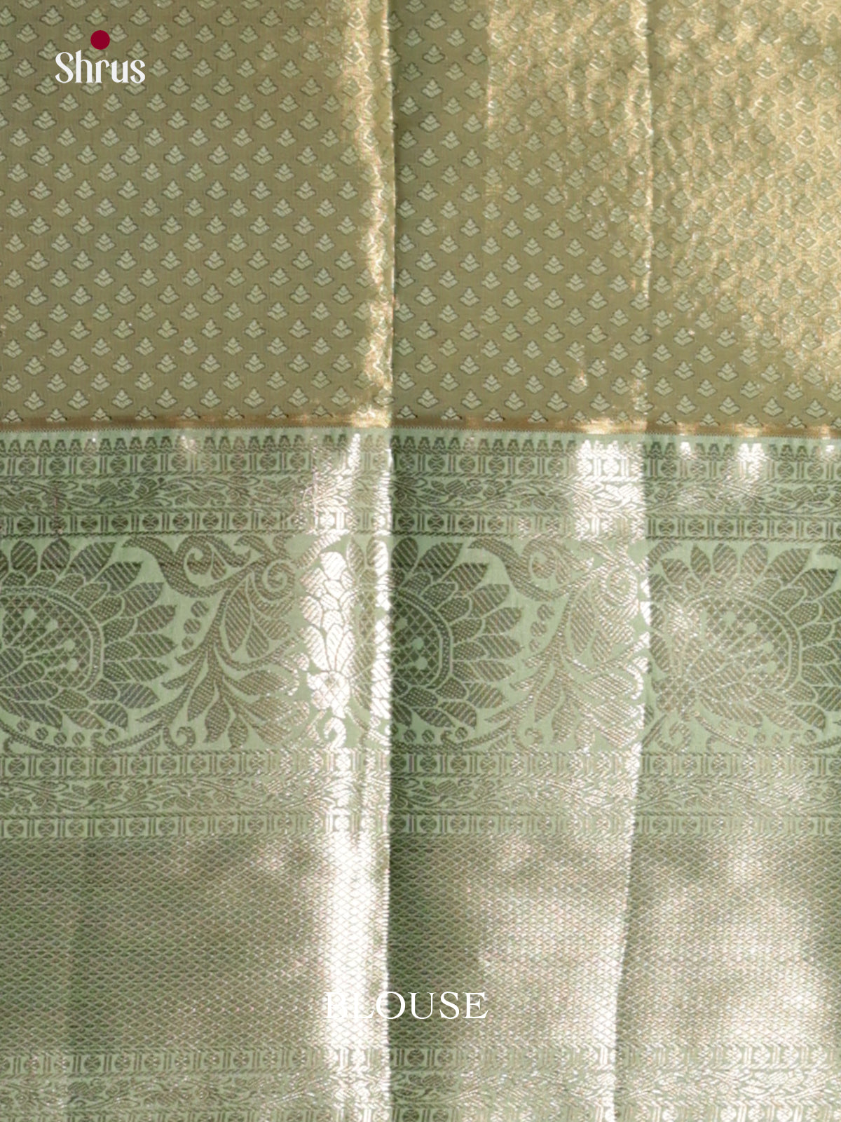 DLS29092 - Kanchipuram-halfpure Saree