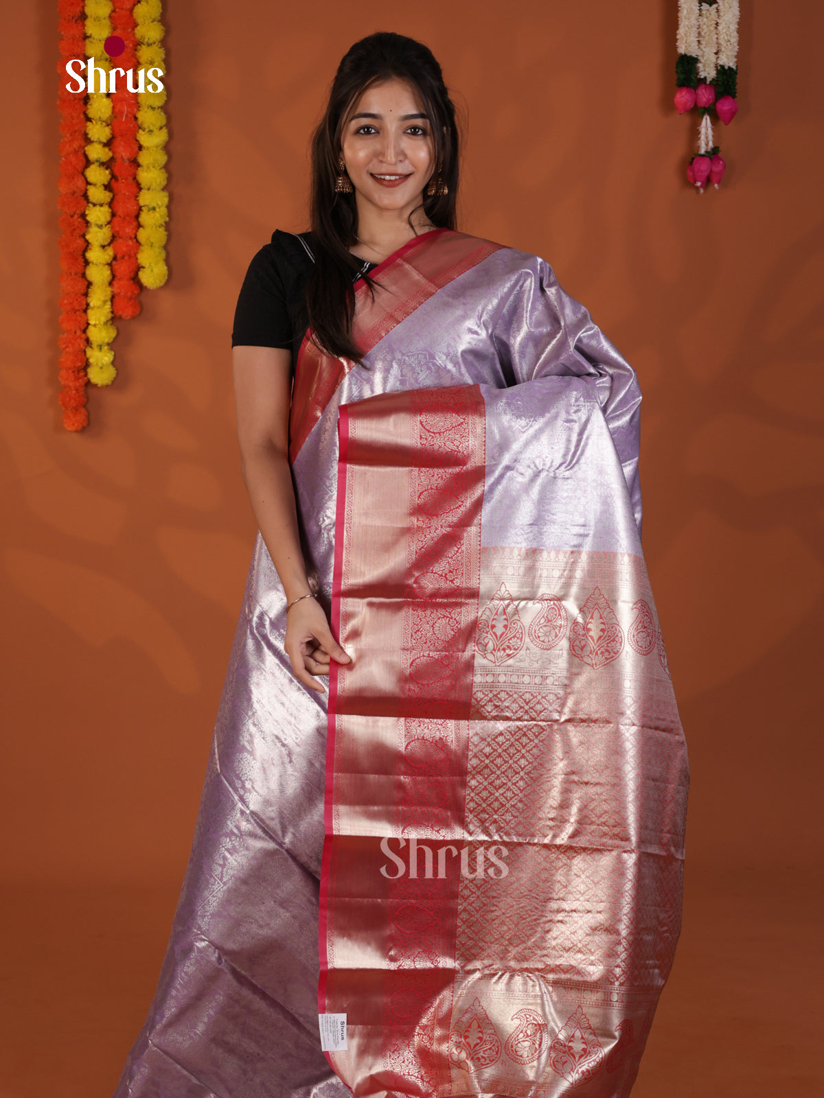 DLS29095 - Kanchipuram-halfpure Saree