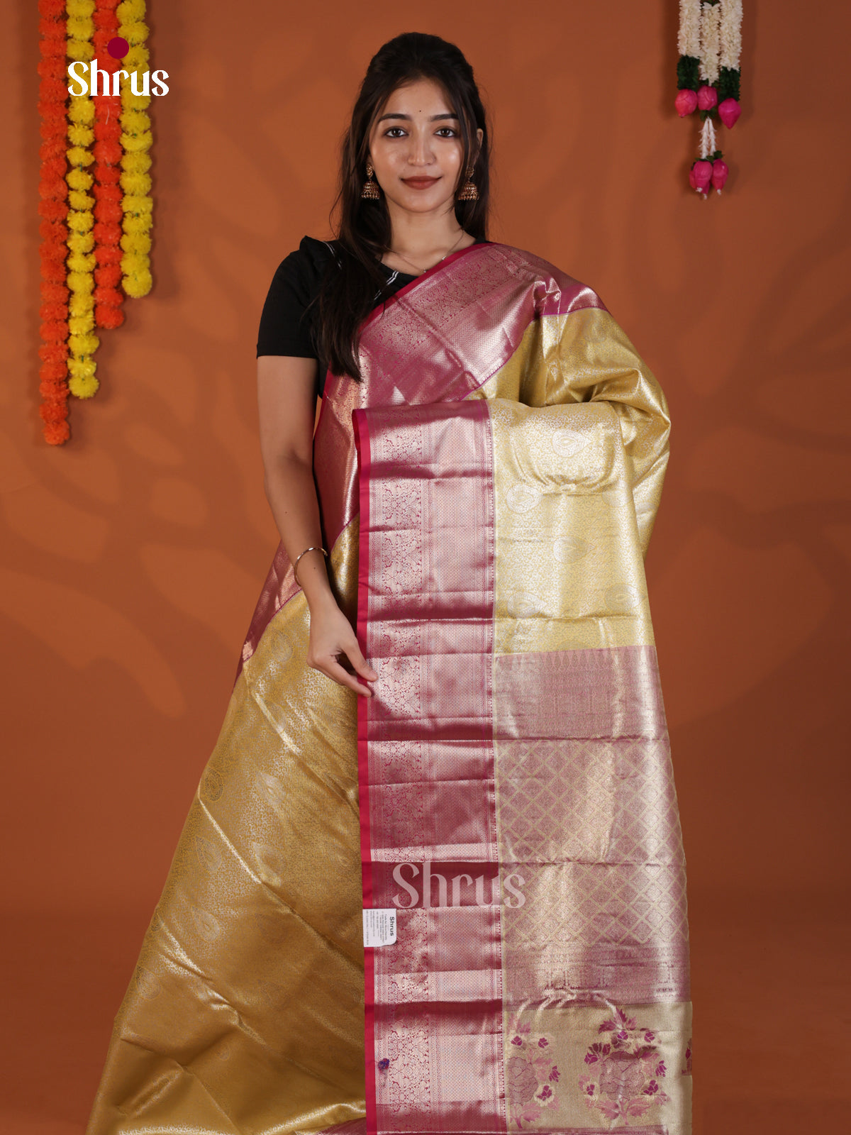 DLS29152 - Kanchipuram-halfpure Saree