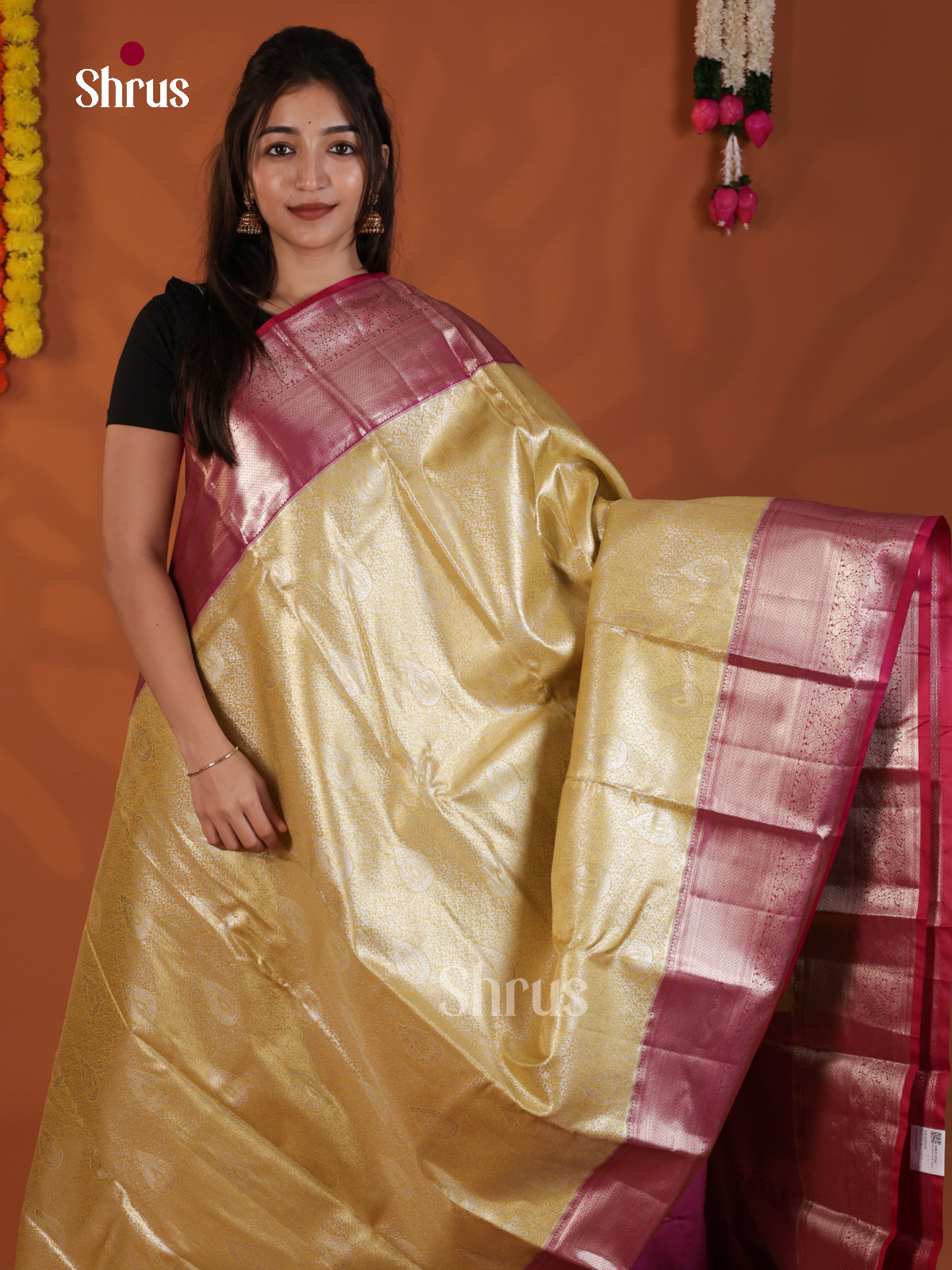 DLS29152 - Kanchipuram-halfpure Saree