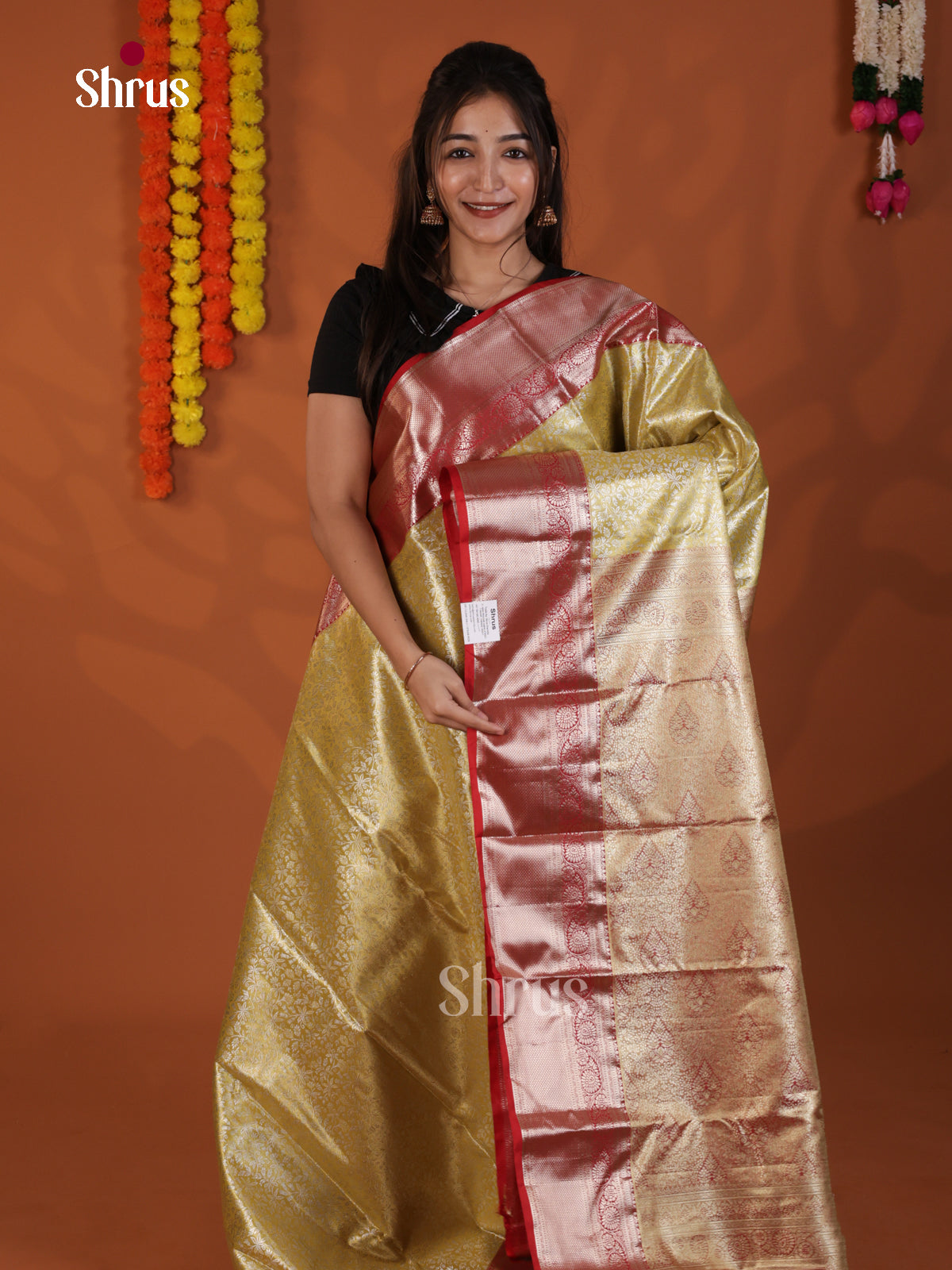 DLS29155 - Kanchipuram-halfpure Saree