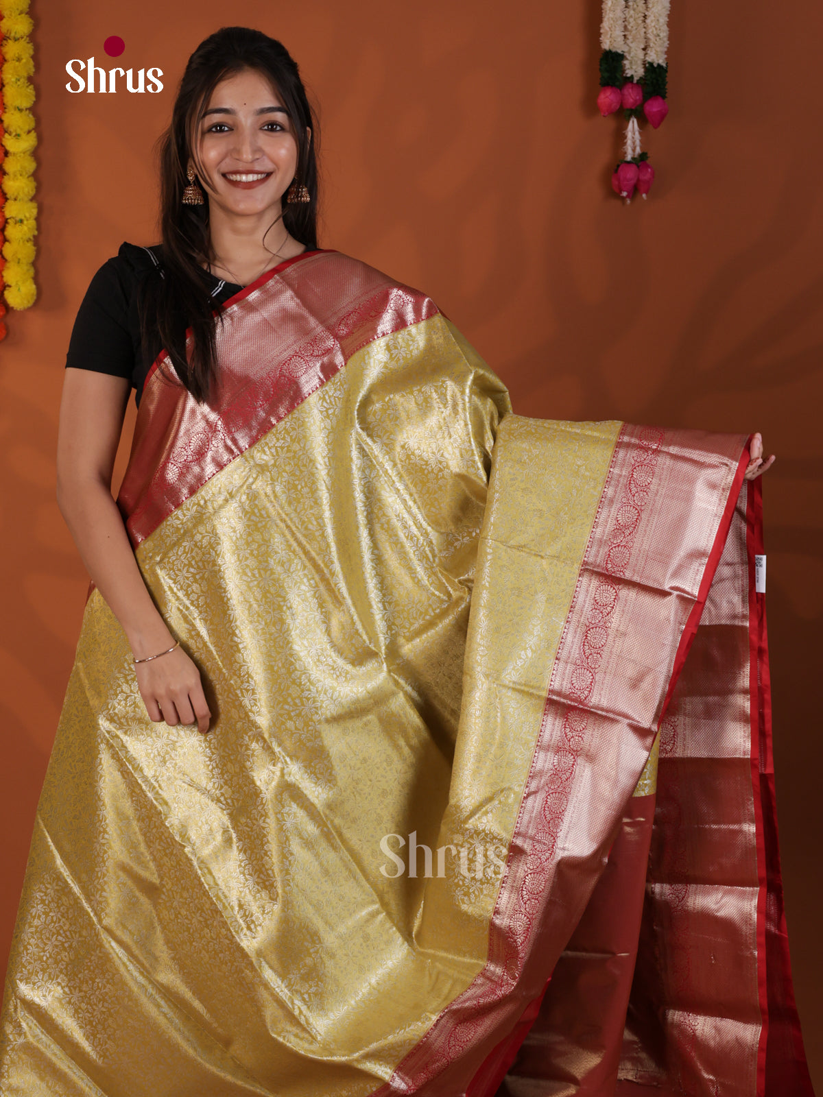 DLS29155 - Kanchipuram-halfpure Saree