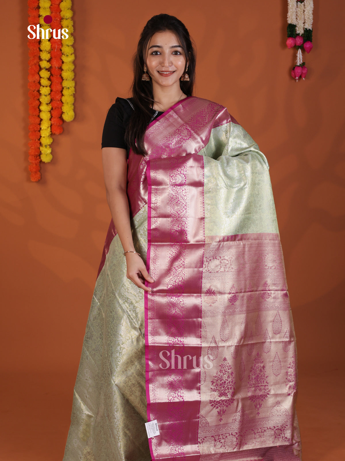 DLS29163 - Kanchipuram-halfpure Saree