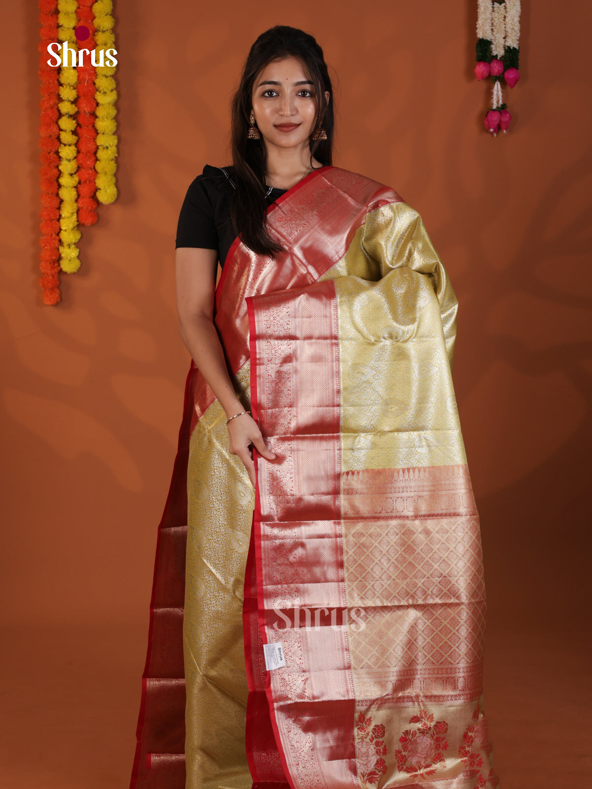 DLS29175 - Kanchipuram-halfpure Saree