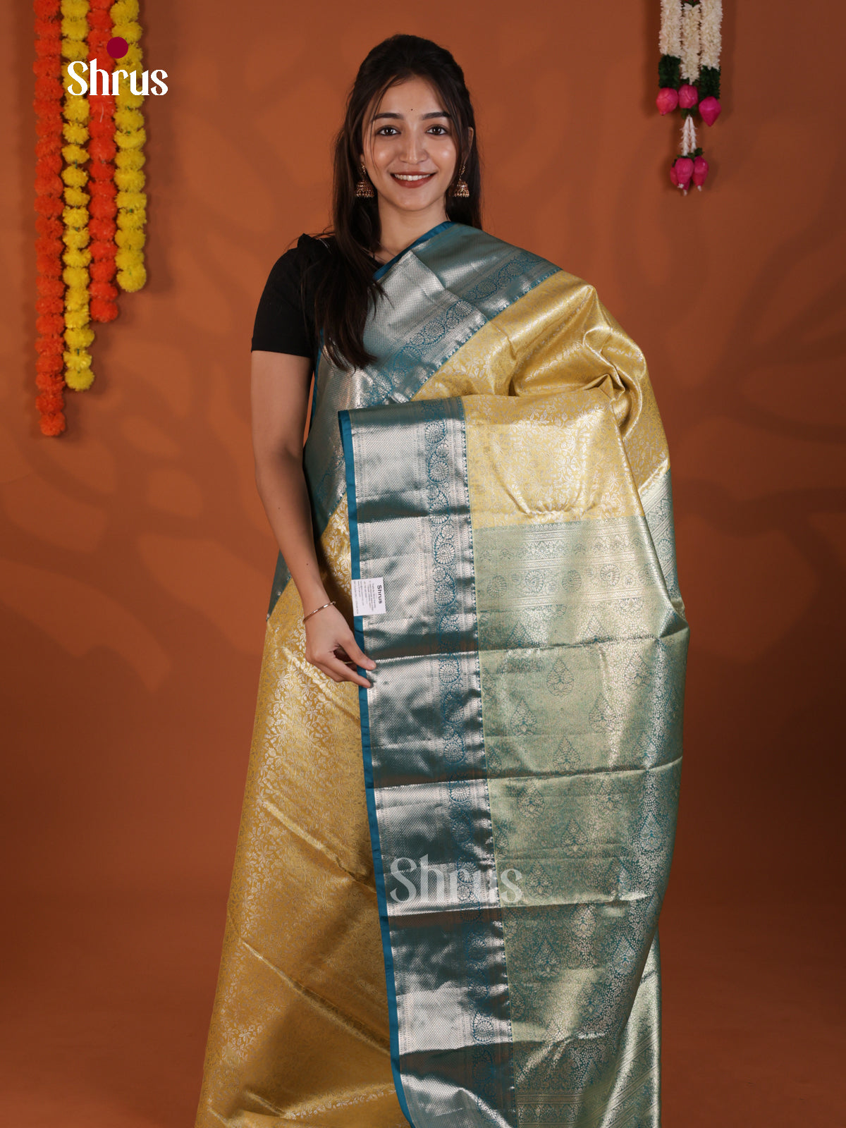 DLS29176 - Kanchipuram-halfpure Saree